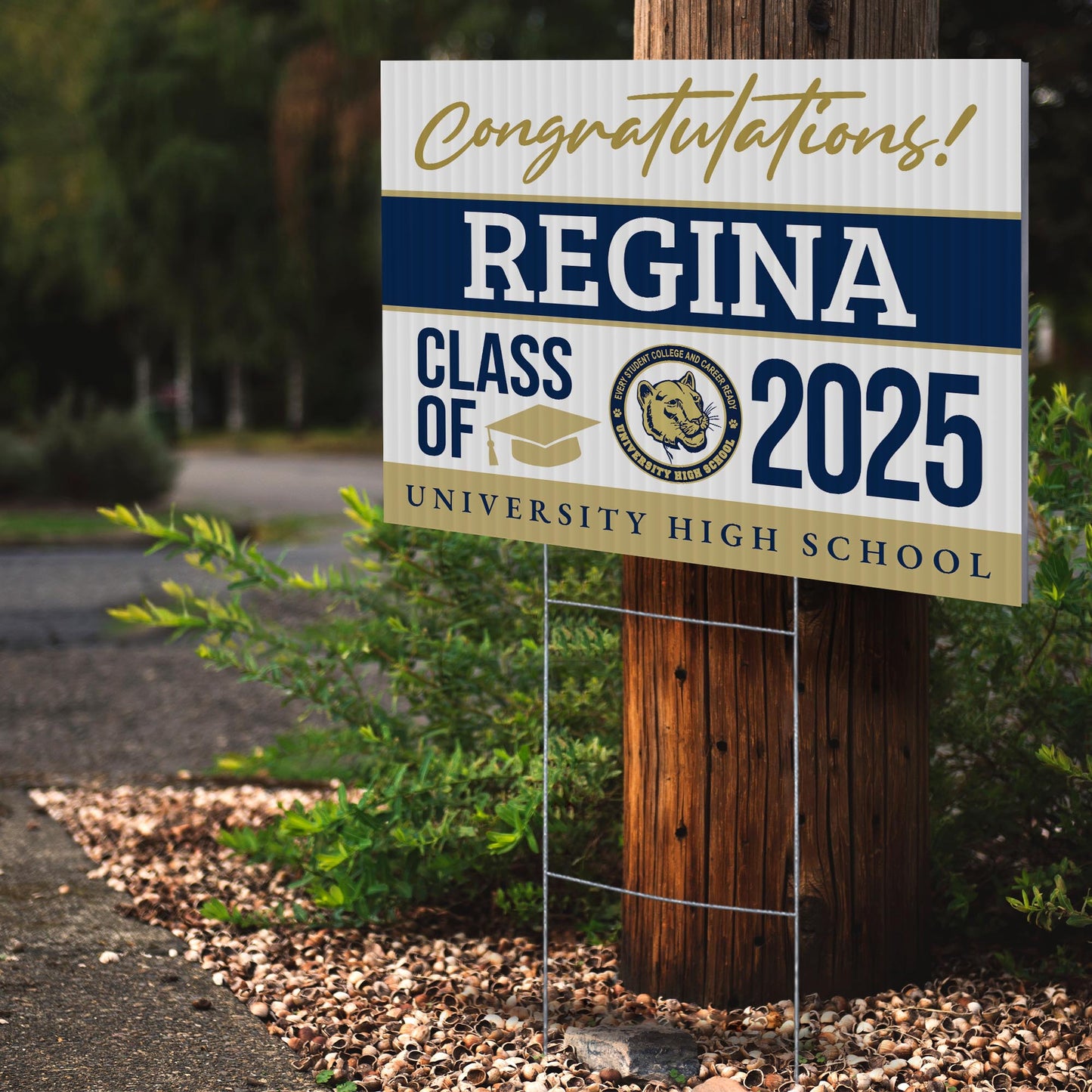 University High School Design 1