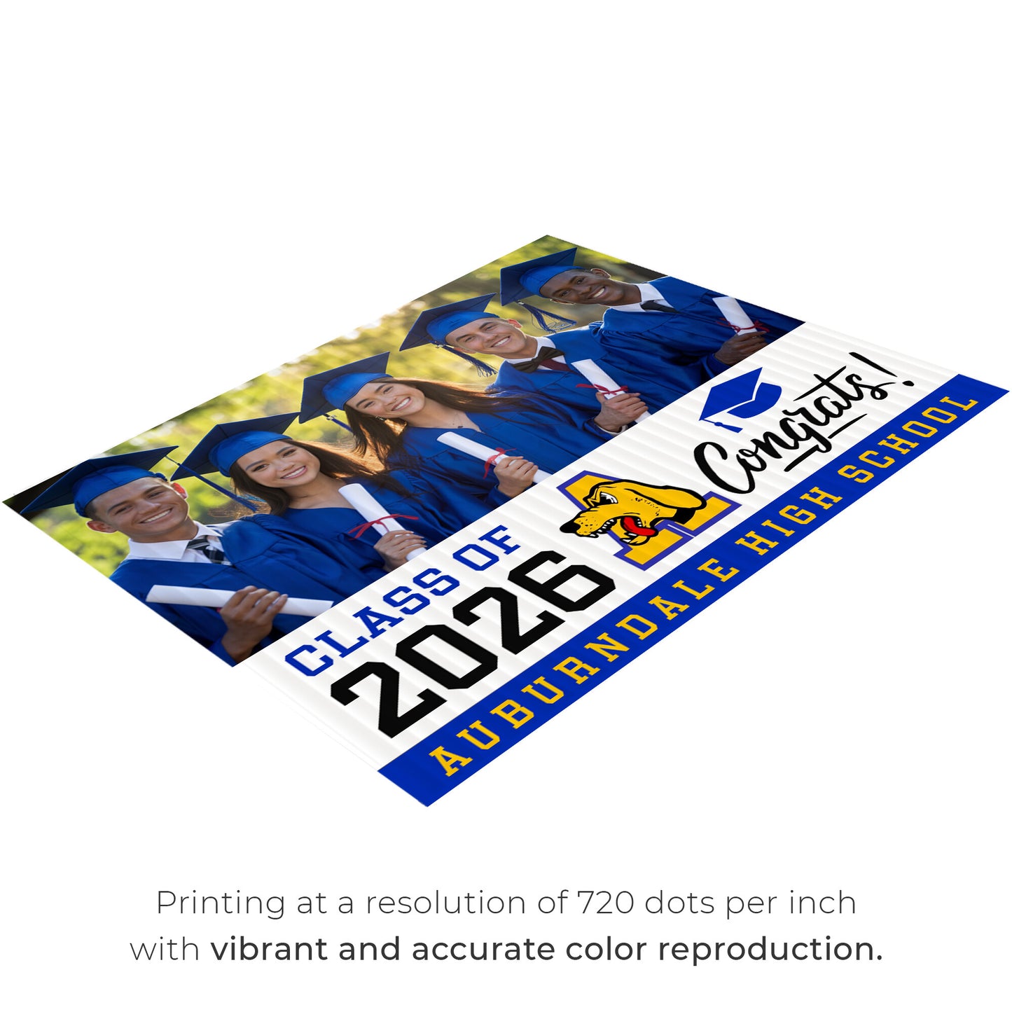 Auburndale High School Design 3