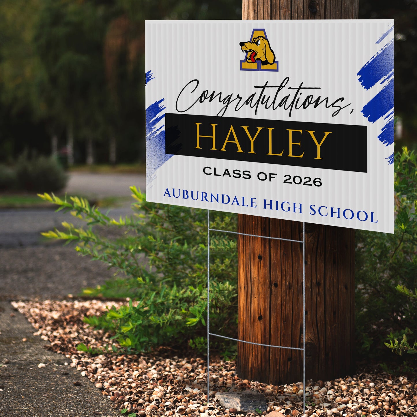Auburndale High School Design 4