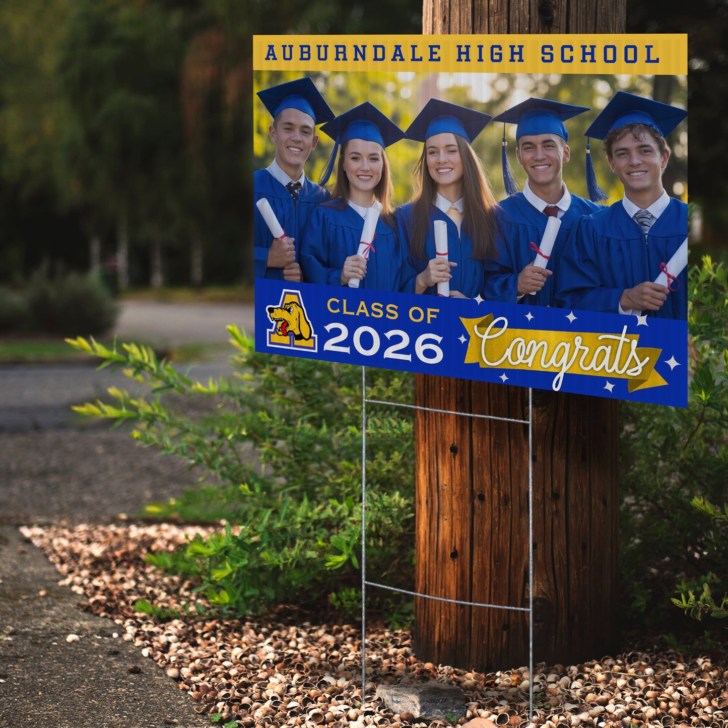 Auburndale High School Design 5