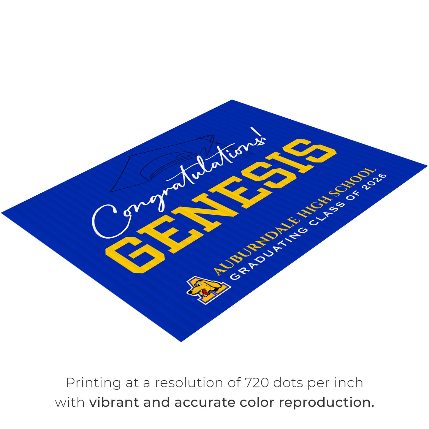 Auburndale High School Design 7