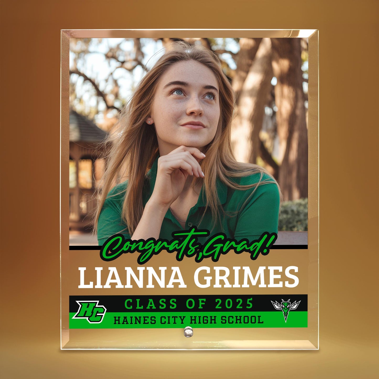 Haines City Senior High School Glass Plaque Design 2