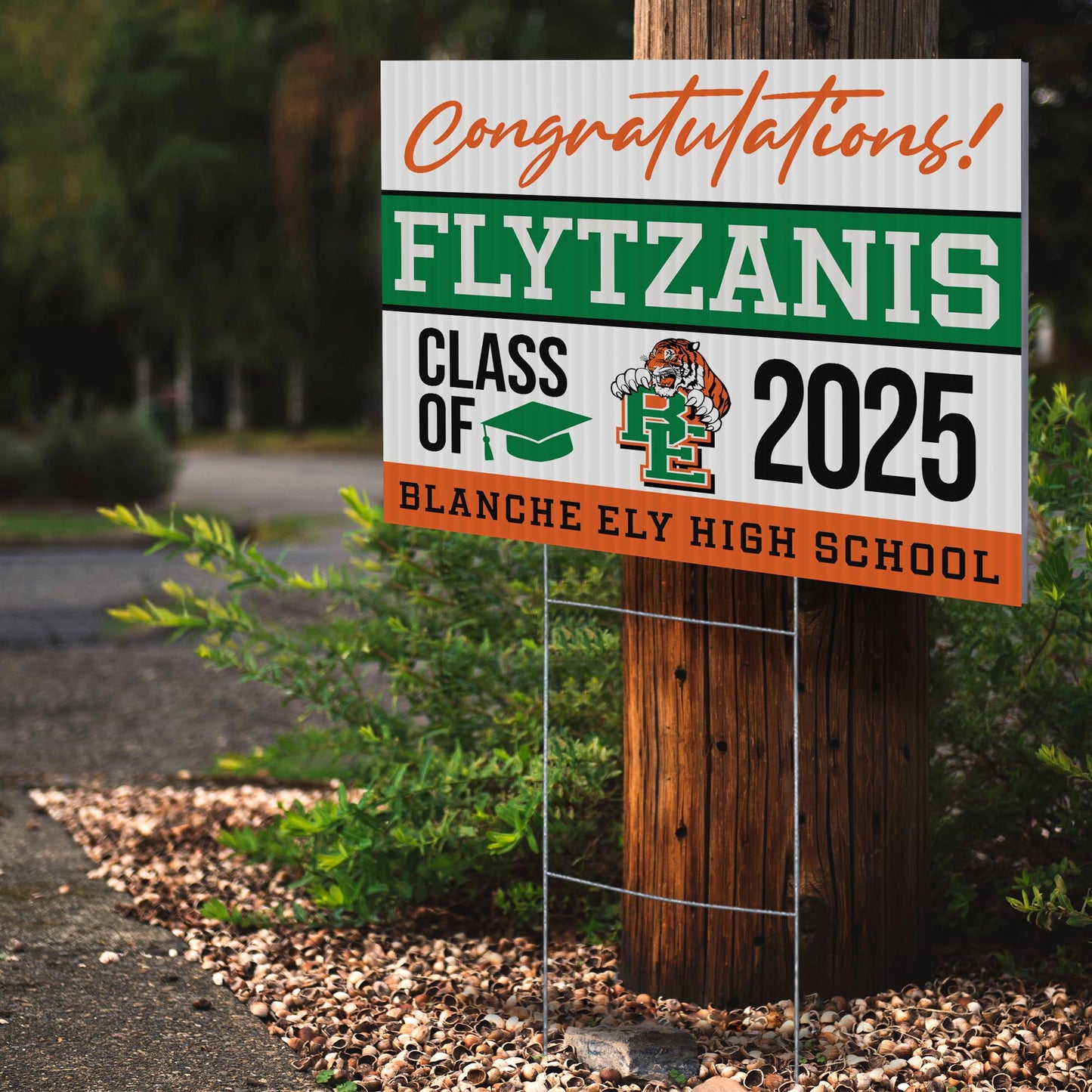 Blanche Ely High School Design 1