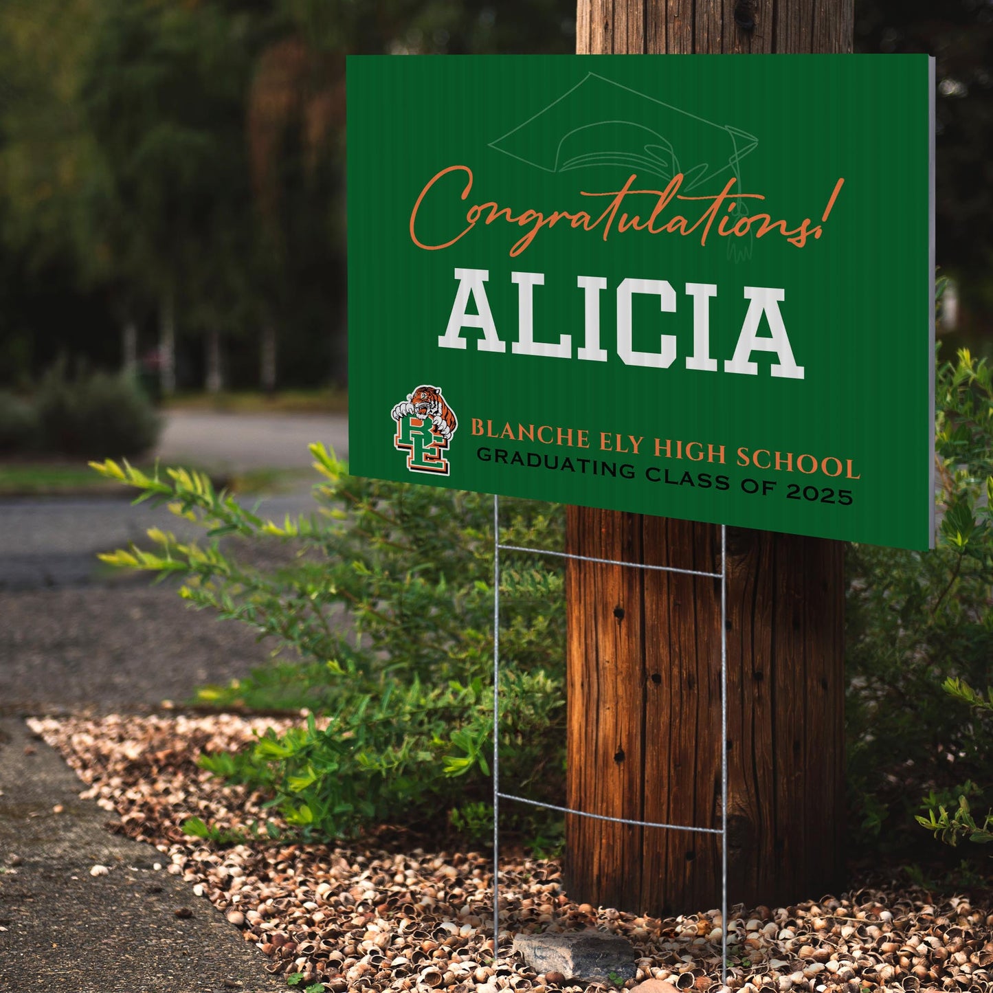 Blanche Ely High School Design 7