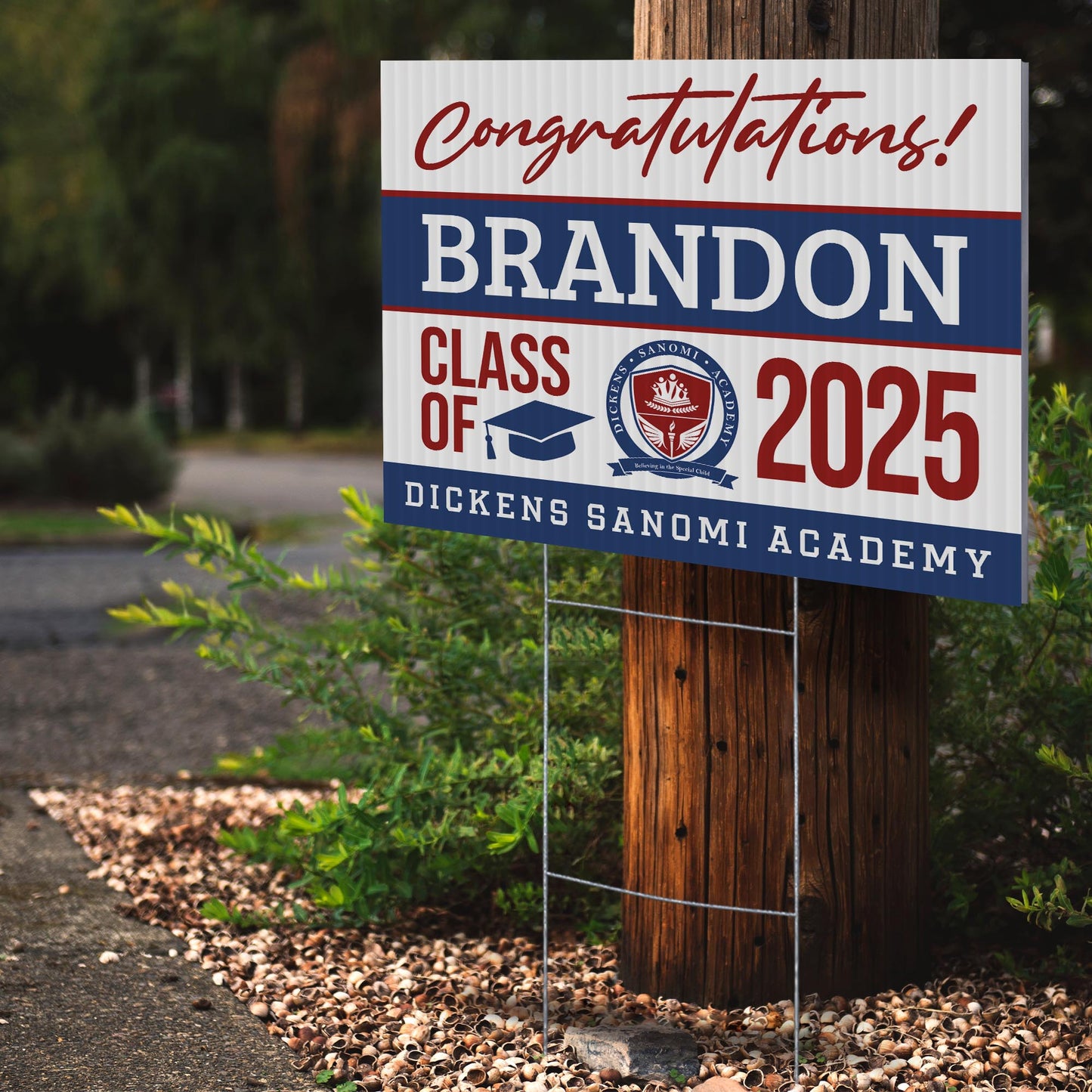 Dickens Sanomi Academy Design 1