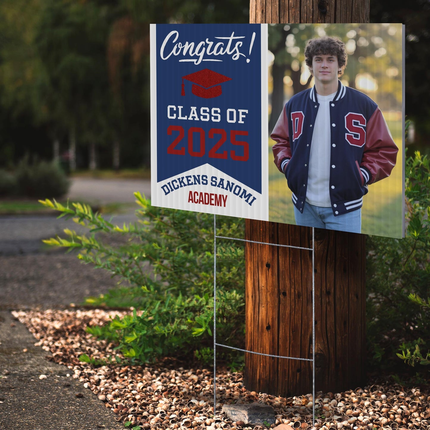 Dickens Sanomi Academy Design 2