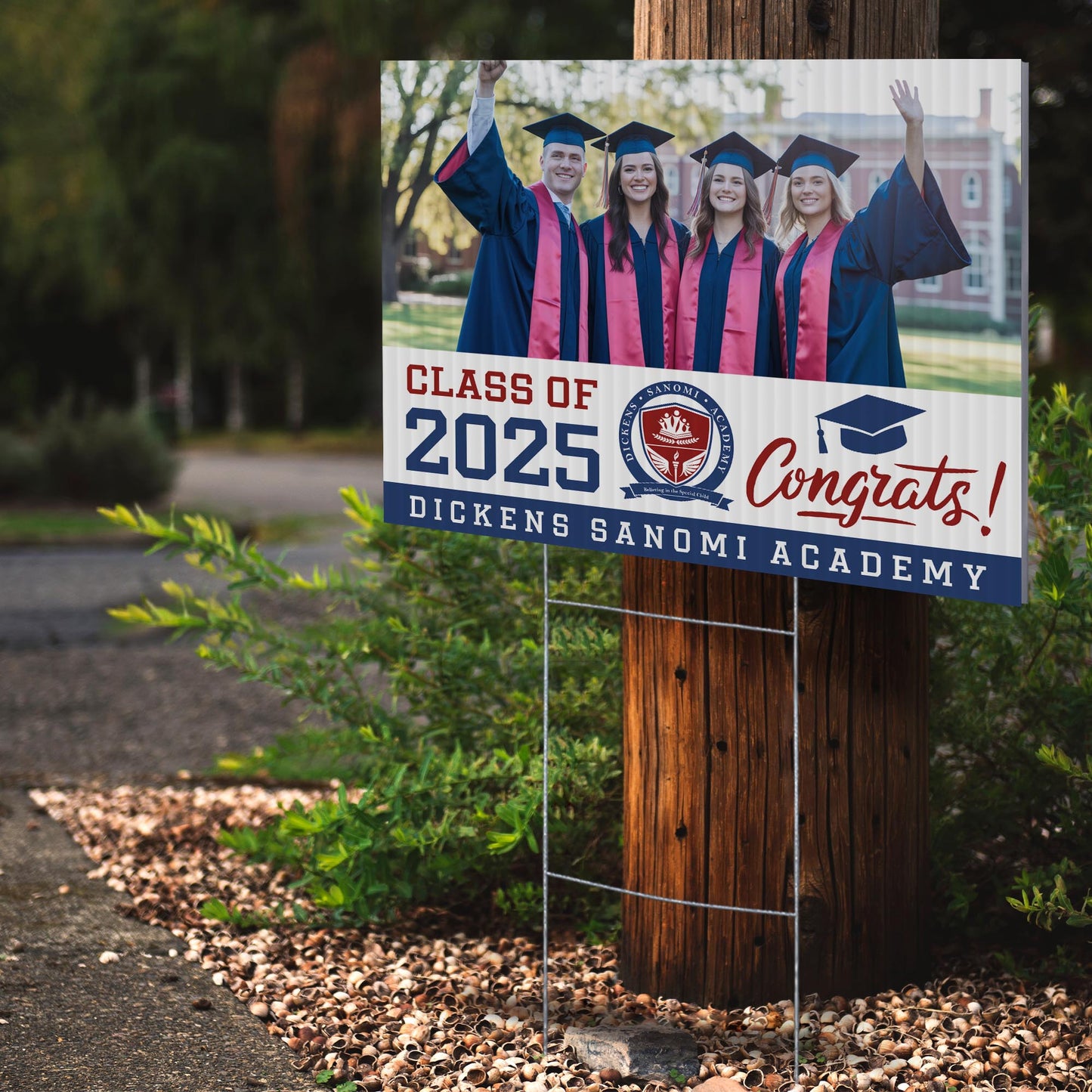 Dickens Sanomi Academy Design 3