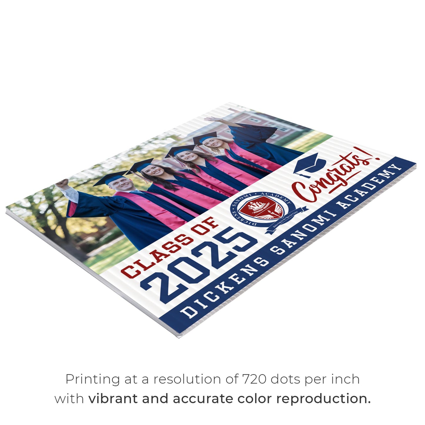 Dickens Sanomi Academy Design 3