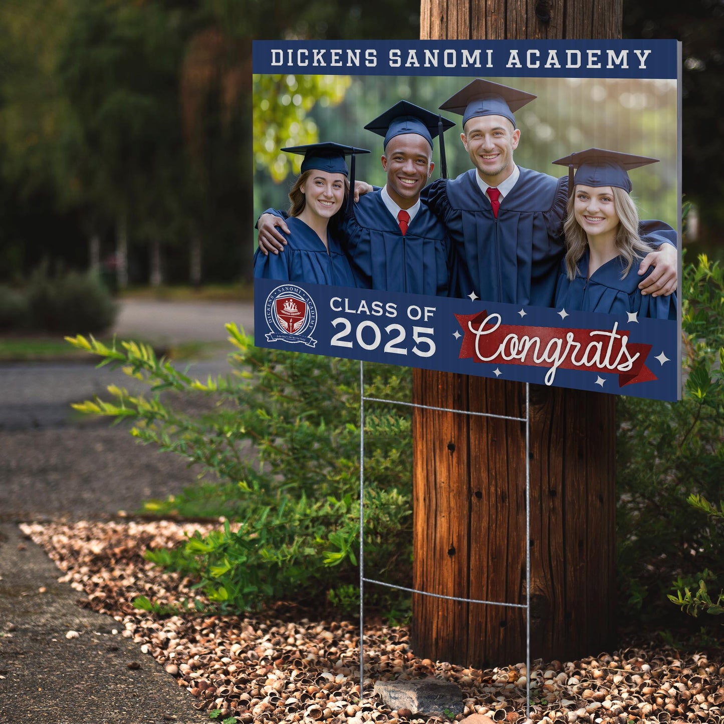 Dickens Sanomi Academy Design 5