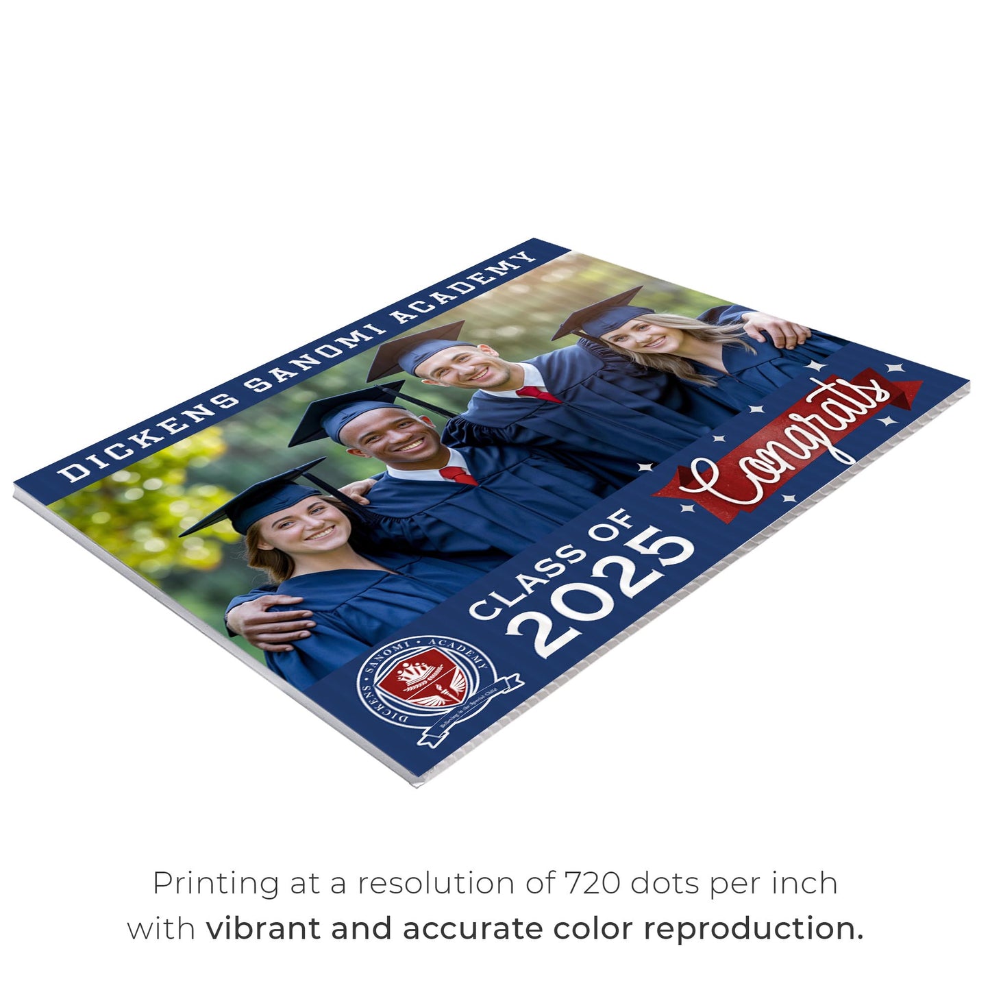 Dickens Sanomi Academy Design 5