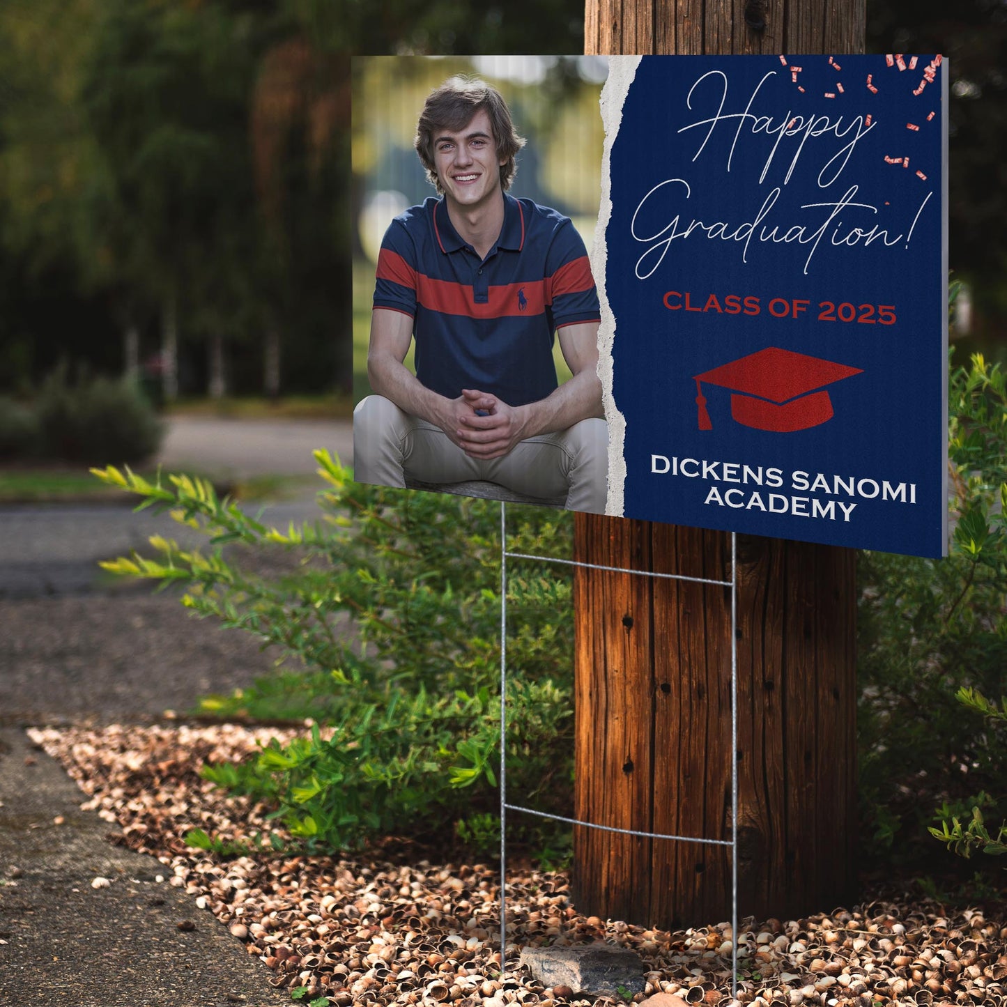 Dickens Sanomi Academy Design 6