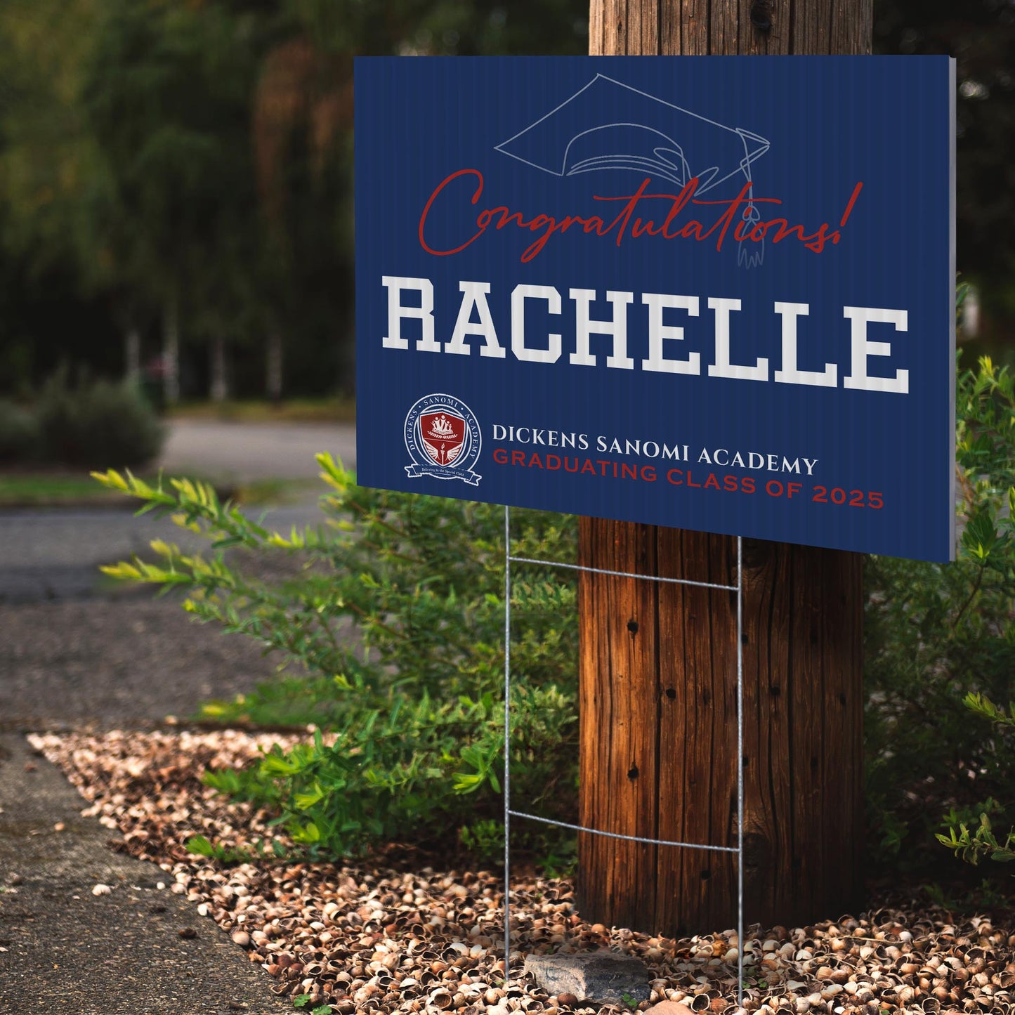 Dickens Sanomi Academy Design 7