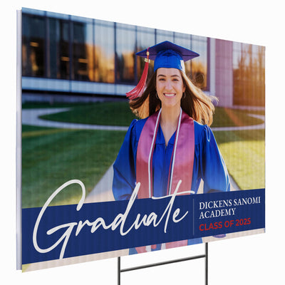 Dickens Sanomi Academy Design 9