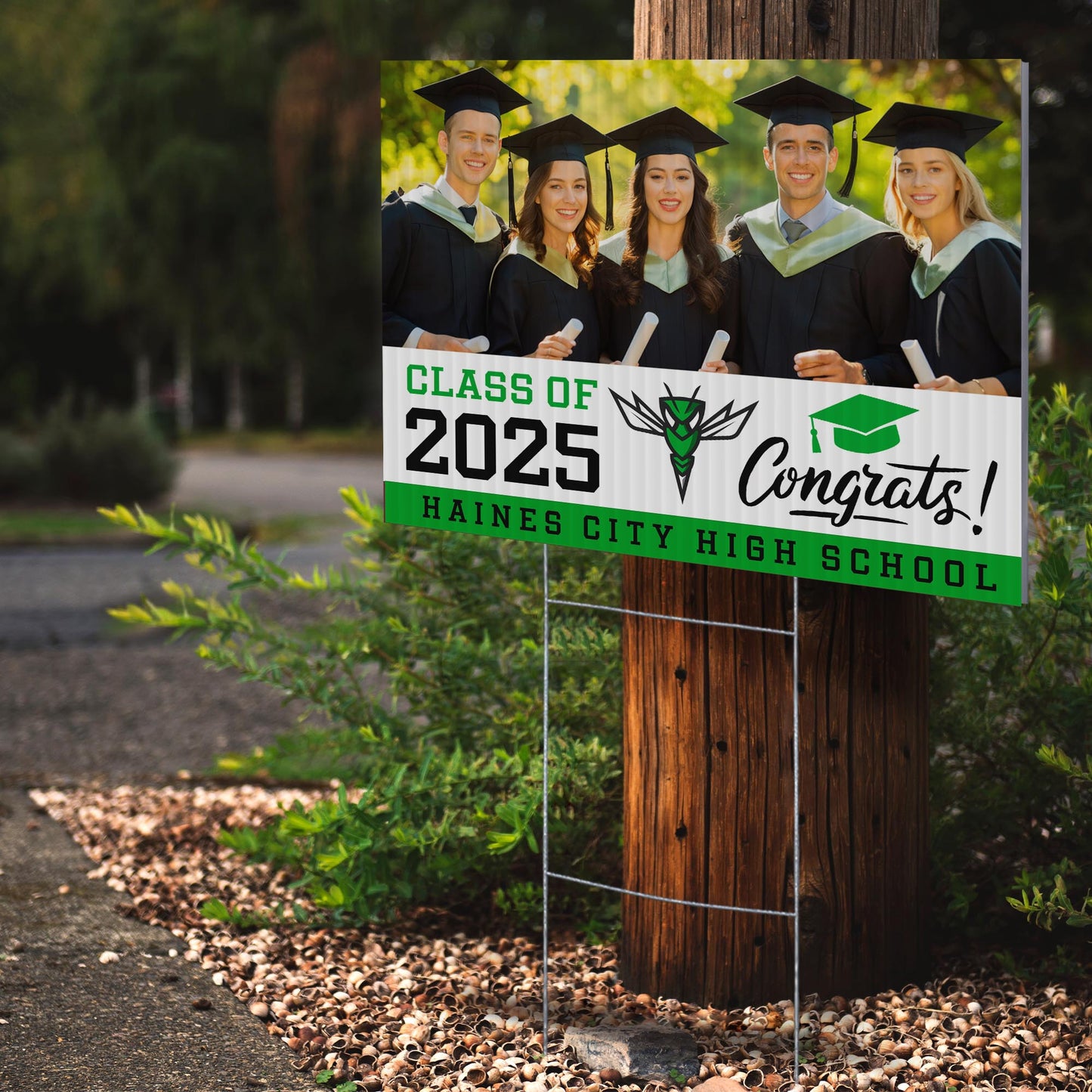 Haines City Senior High School Design 3