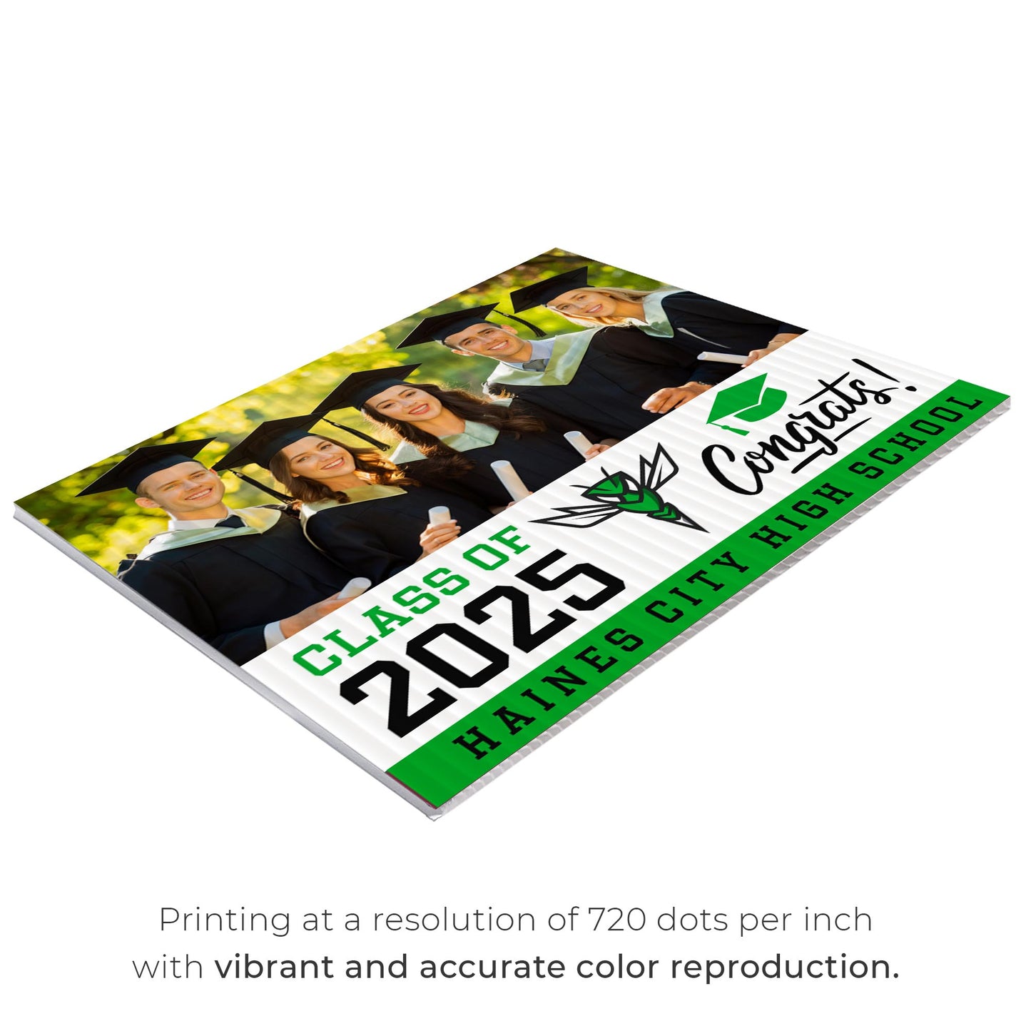 Haines City Senior High School Design 3