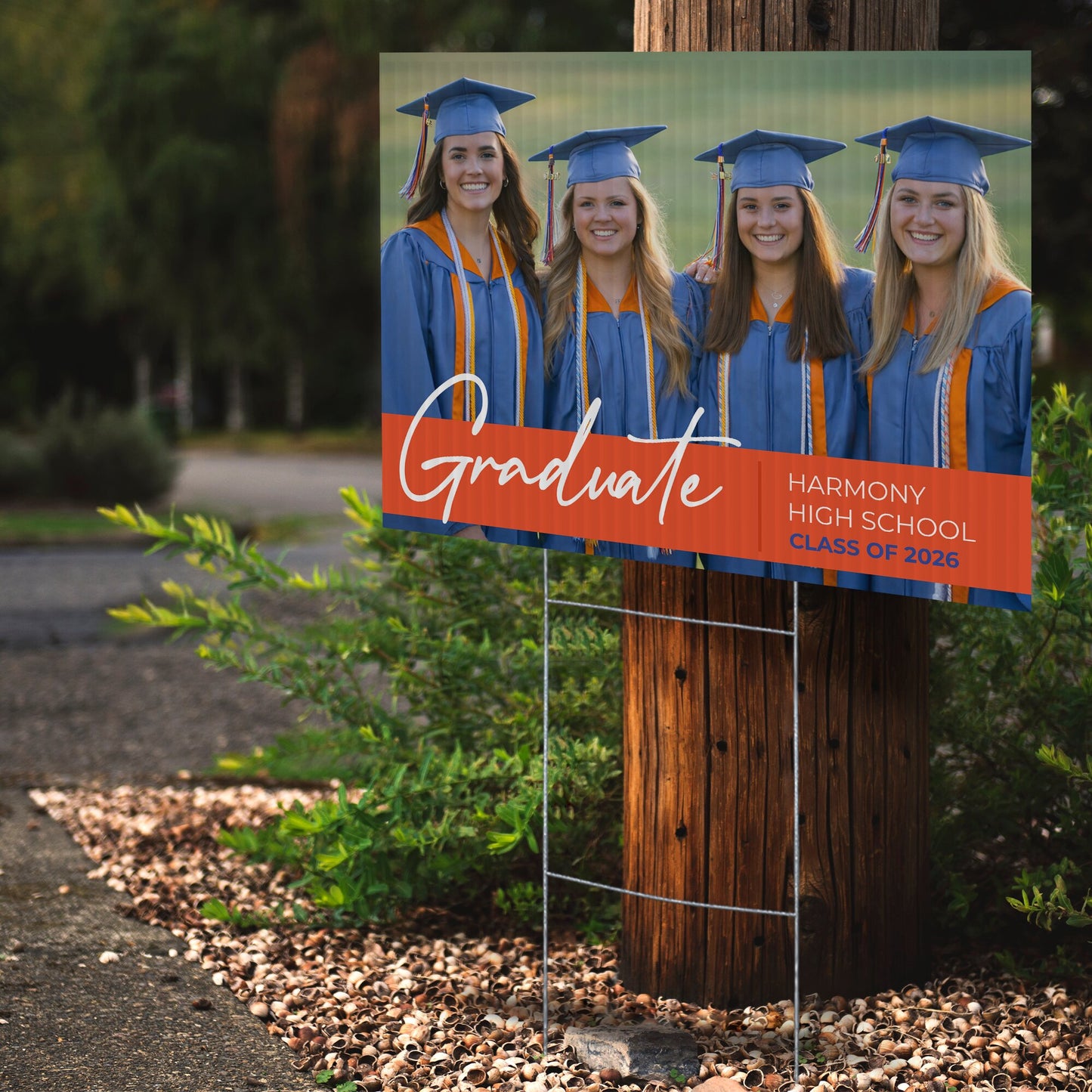 Harmony High School Design 9