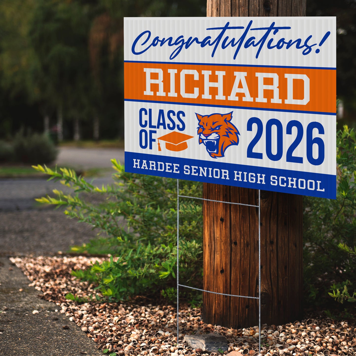 Hardee Senior High School Design 1