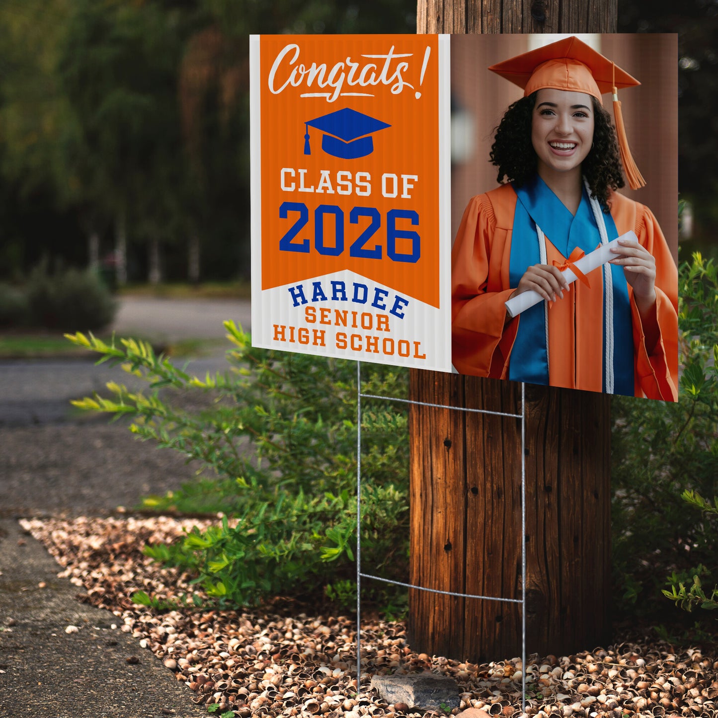 Hardee Senior High School Design 2