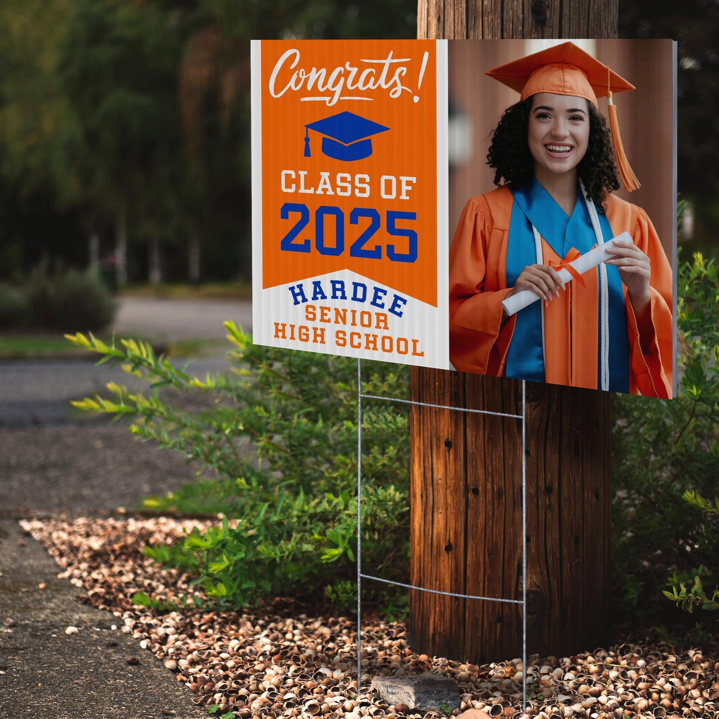 Hardee Senior High School Design 2