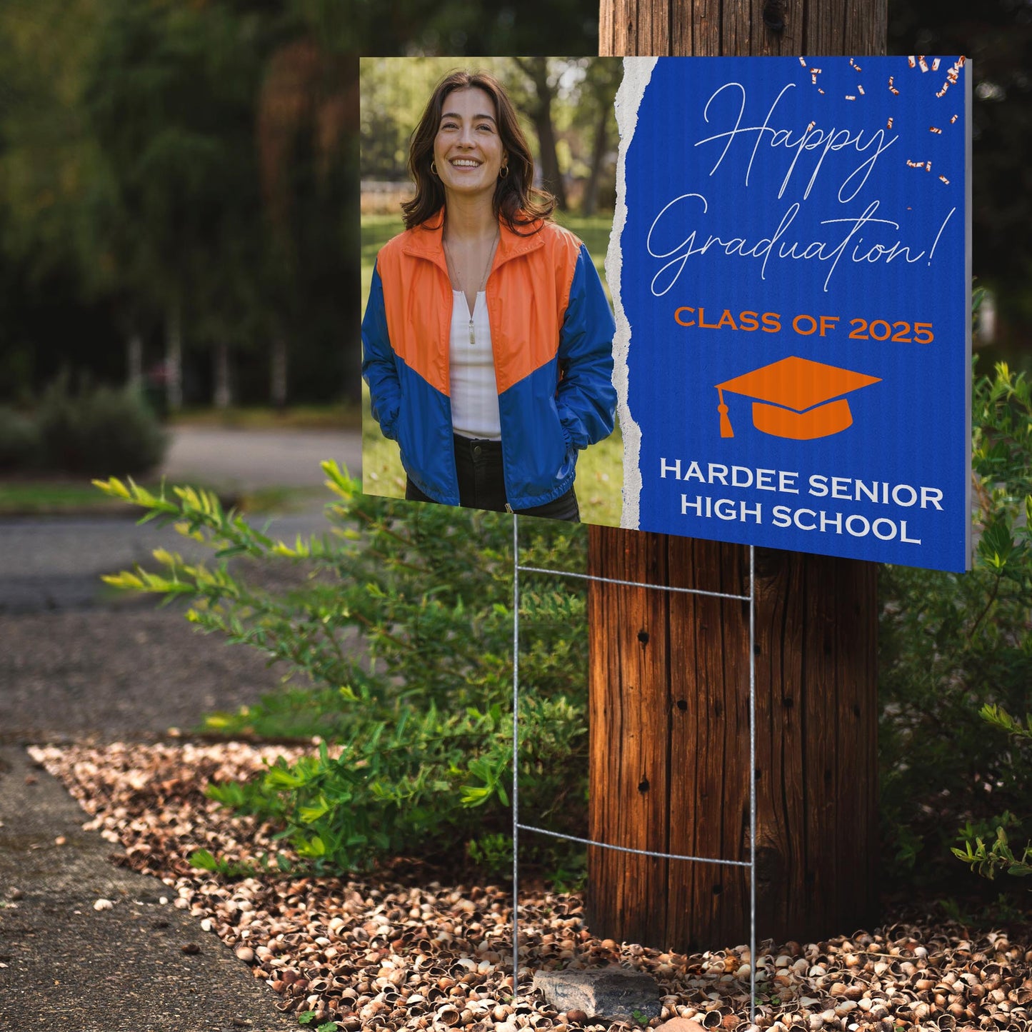 Hardee Senior High School Design 6