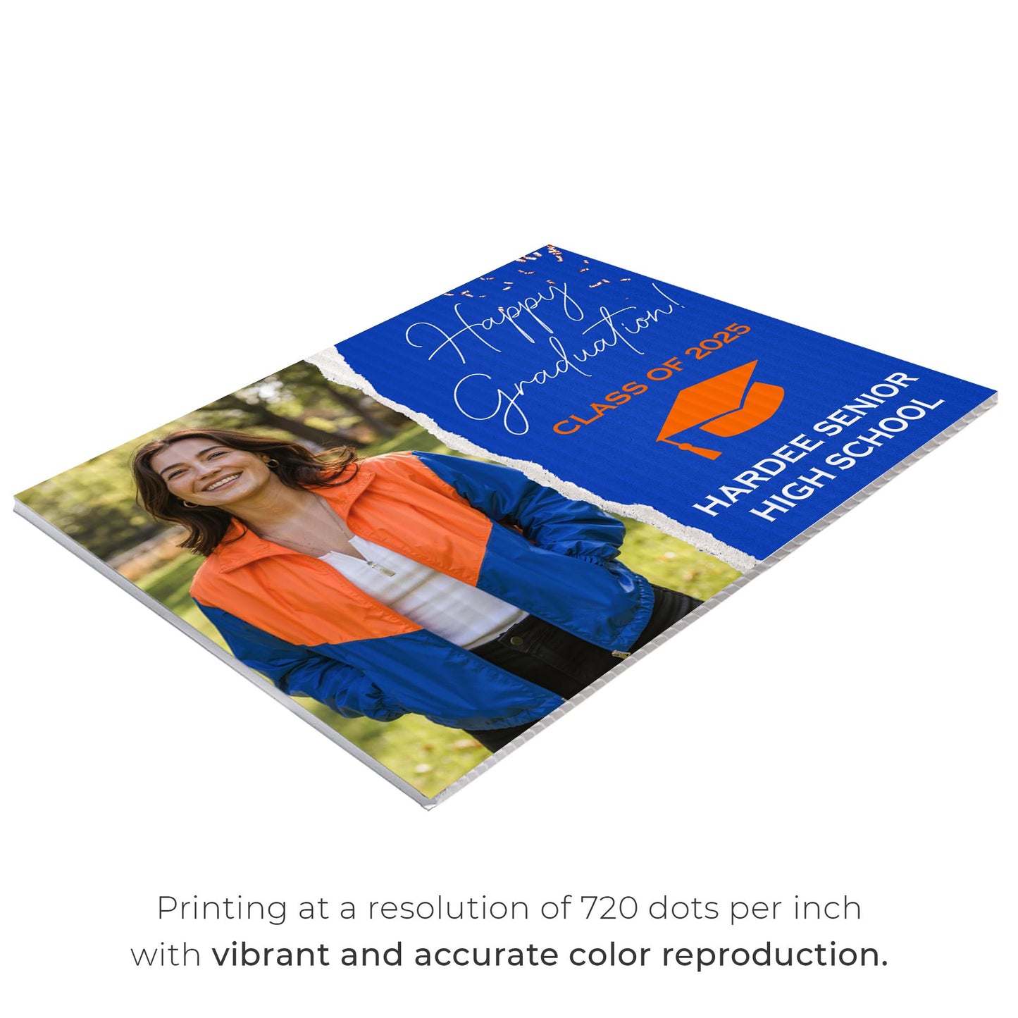 Hardee Senior High School Design 6