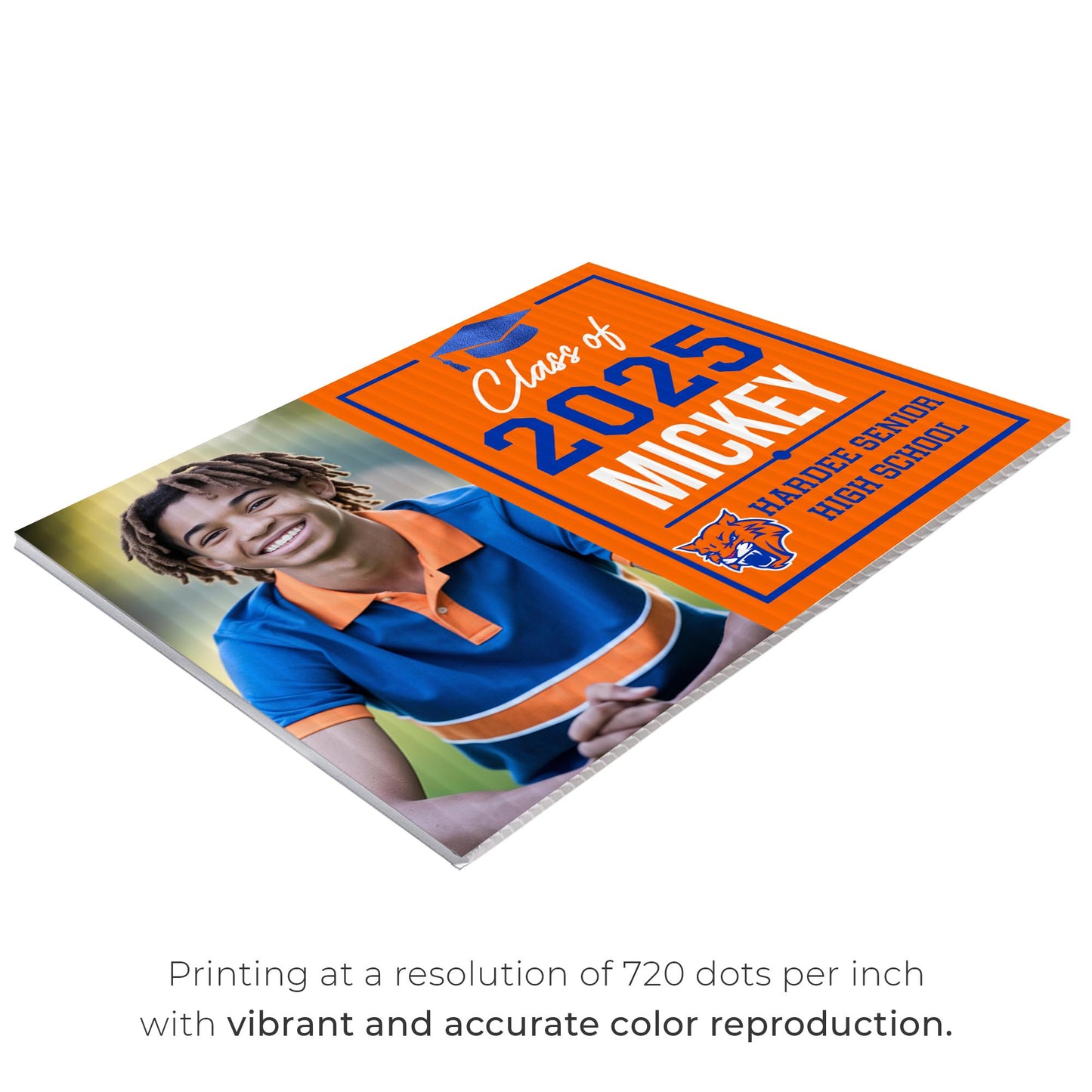 Hardee Senior High School Design 8