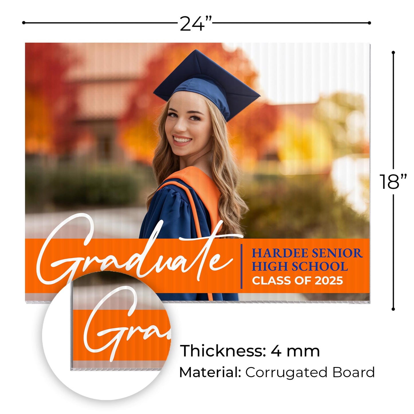 Hardee Senior High School Design 9