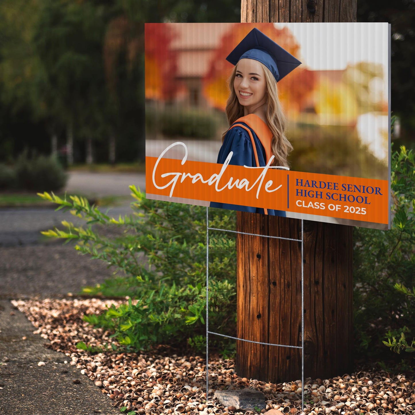 Hardee Senior High School Design 9