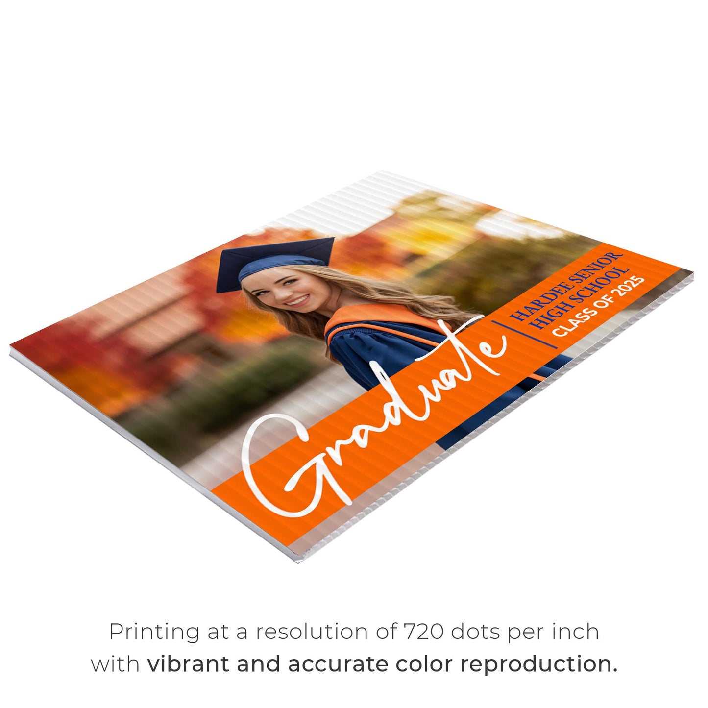 Hardee Senior High School Design 9