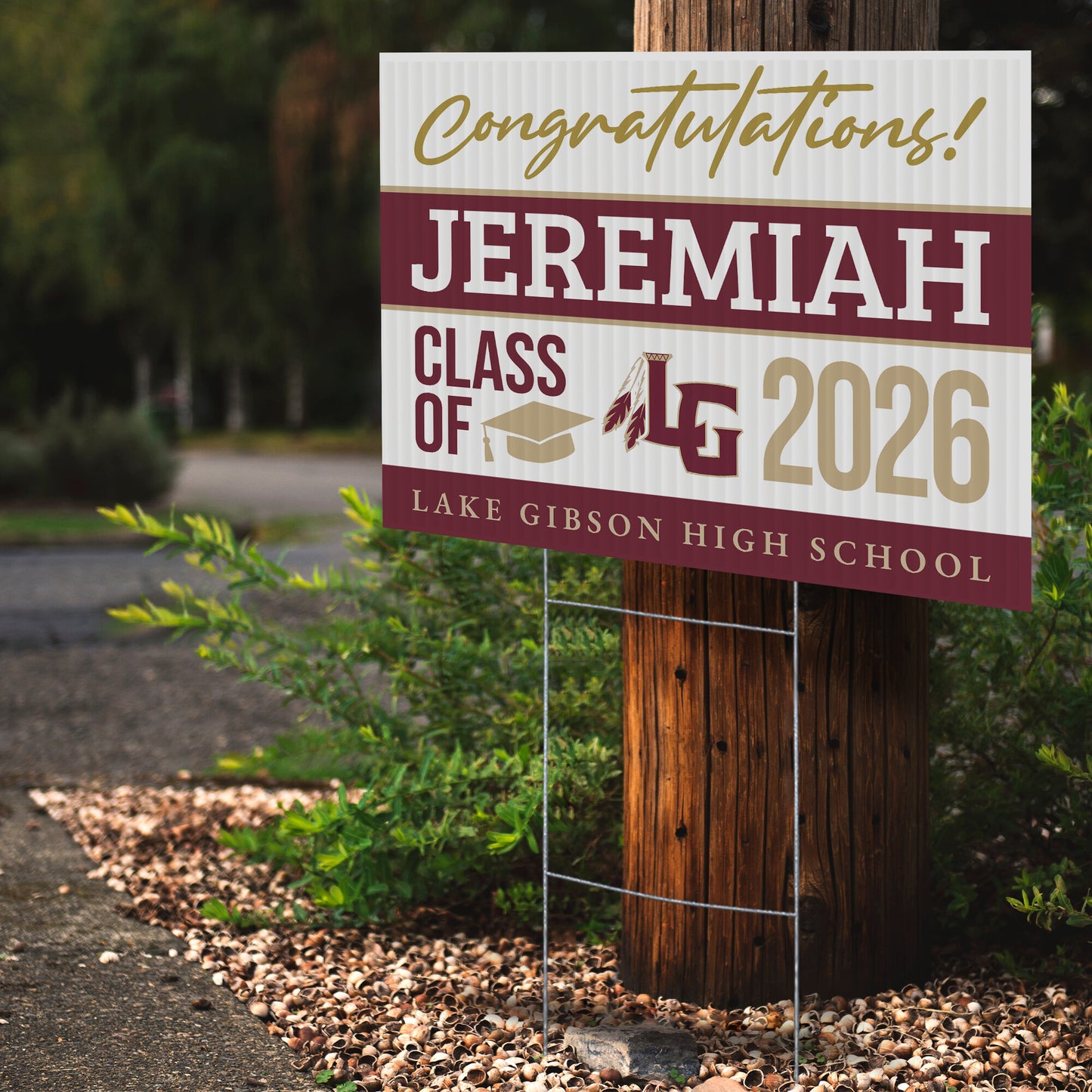 Lake Gibson High School Design 1