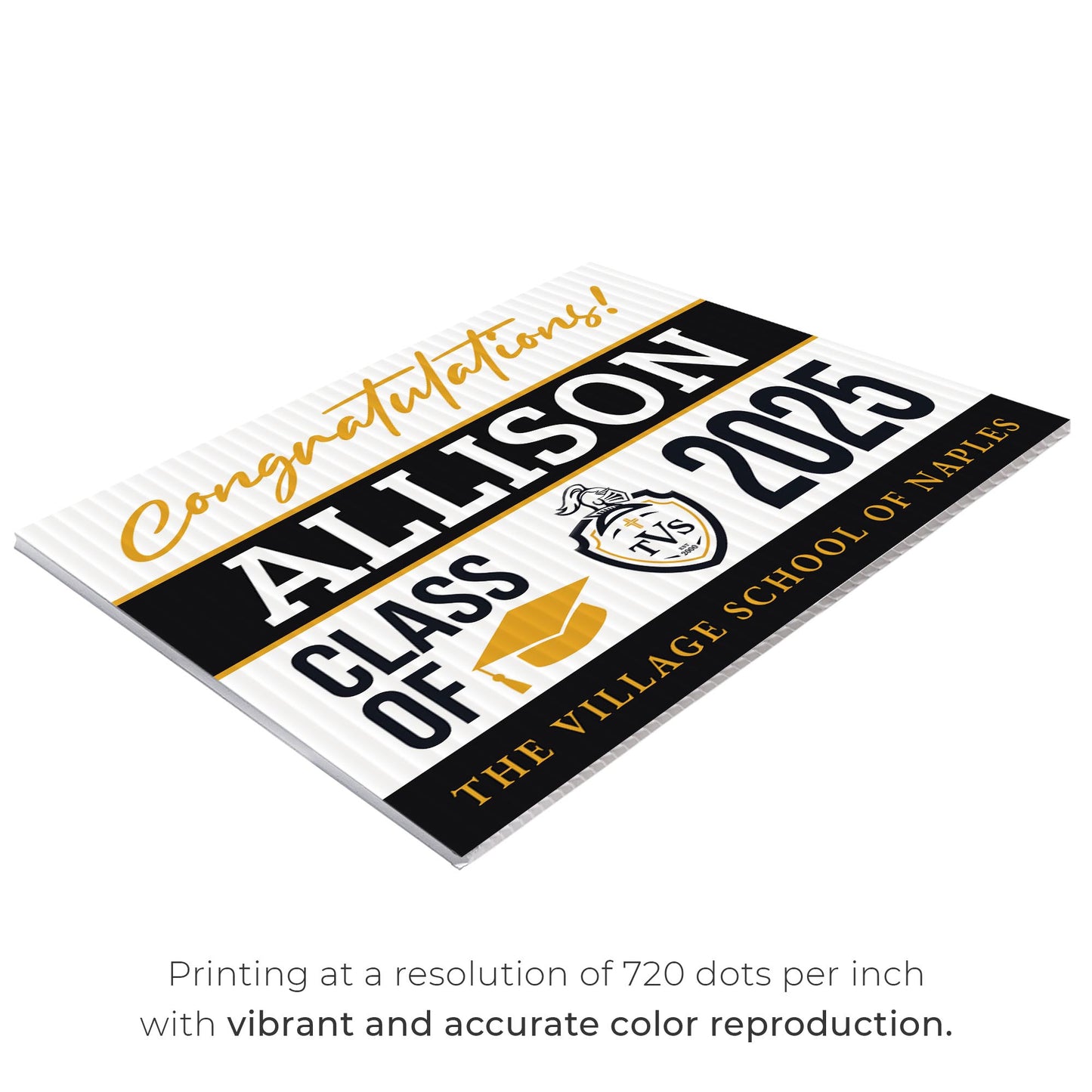 The Village School of Naples Design 1