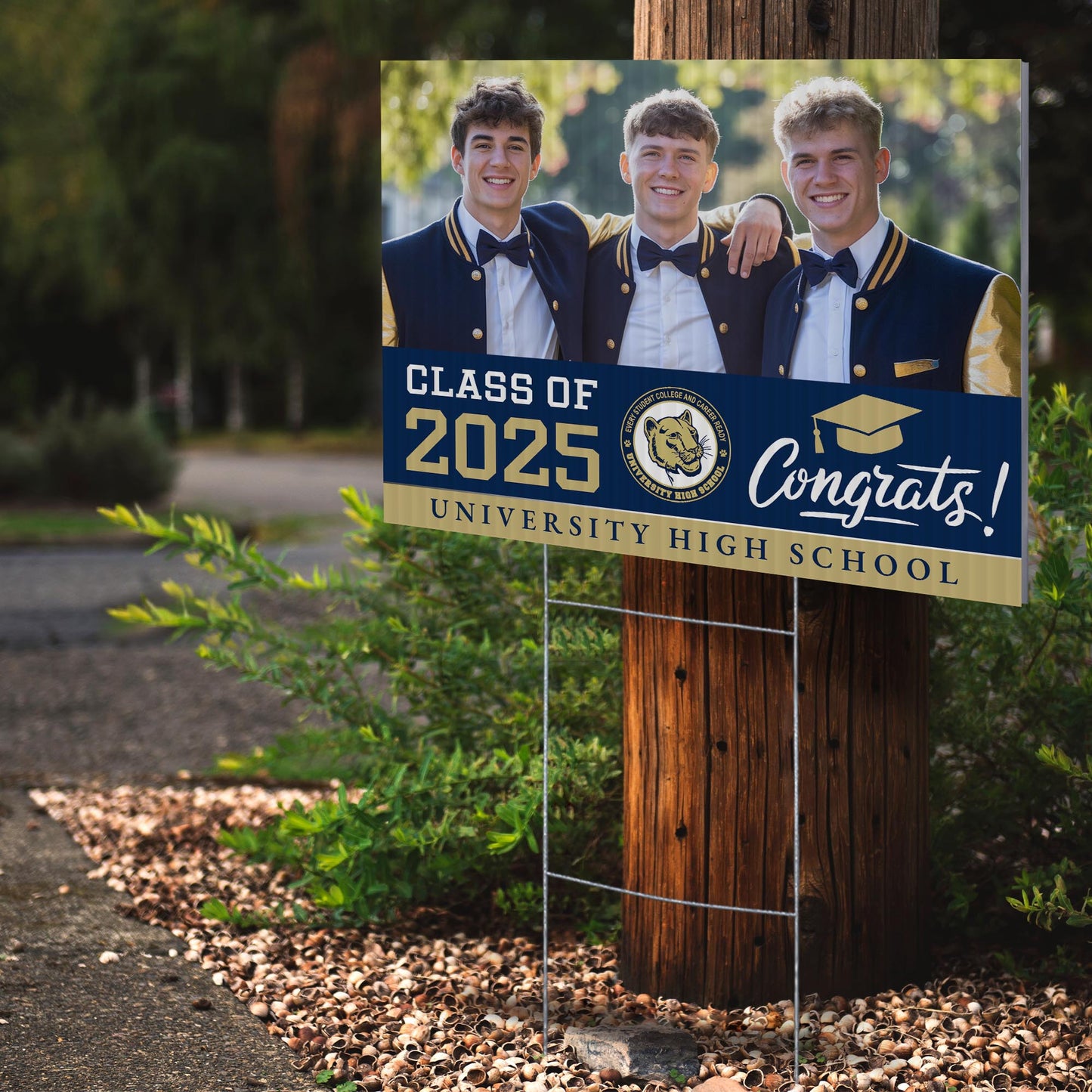 University High School Design 3