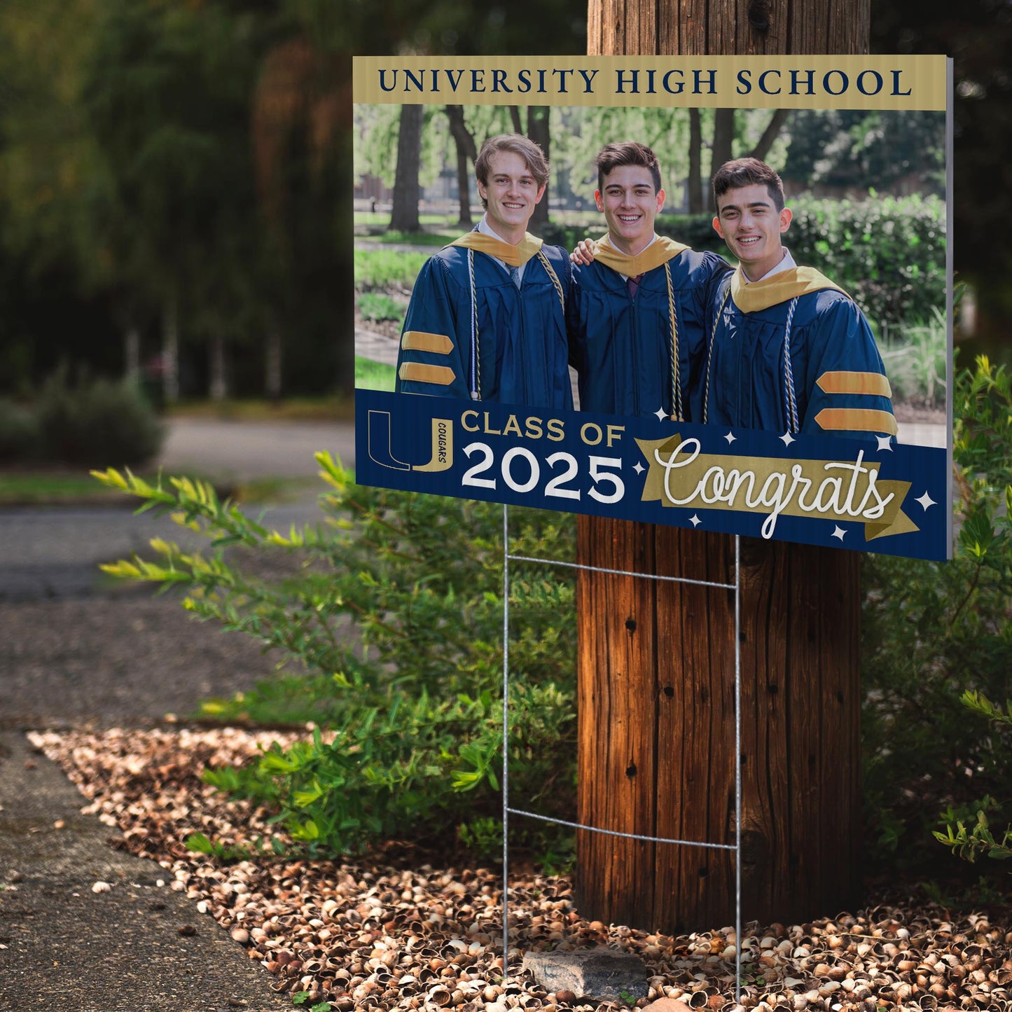 University High School Design 5