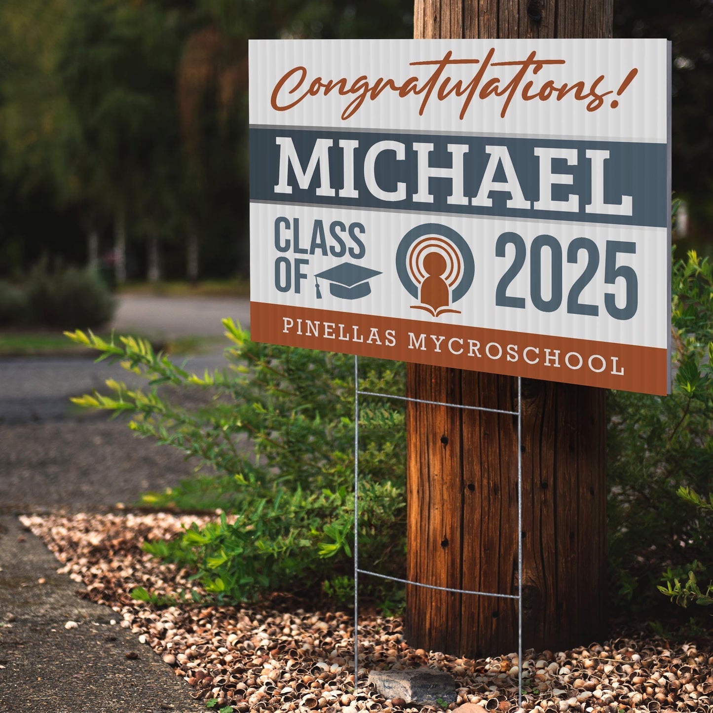 Pinellas MYcroSchool Design 1 -  YSW-PMS-DS-D1-YWS-PMS-OS-D1