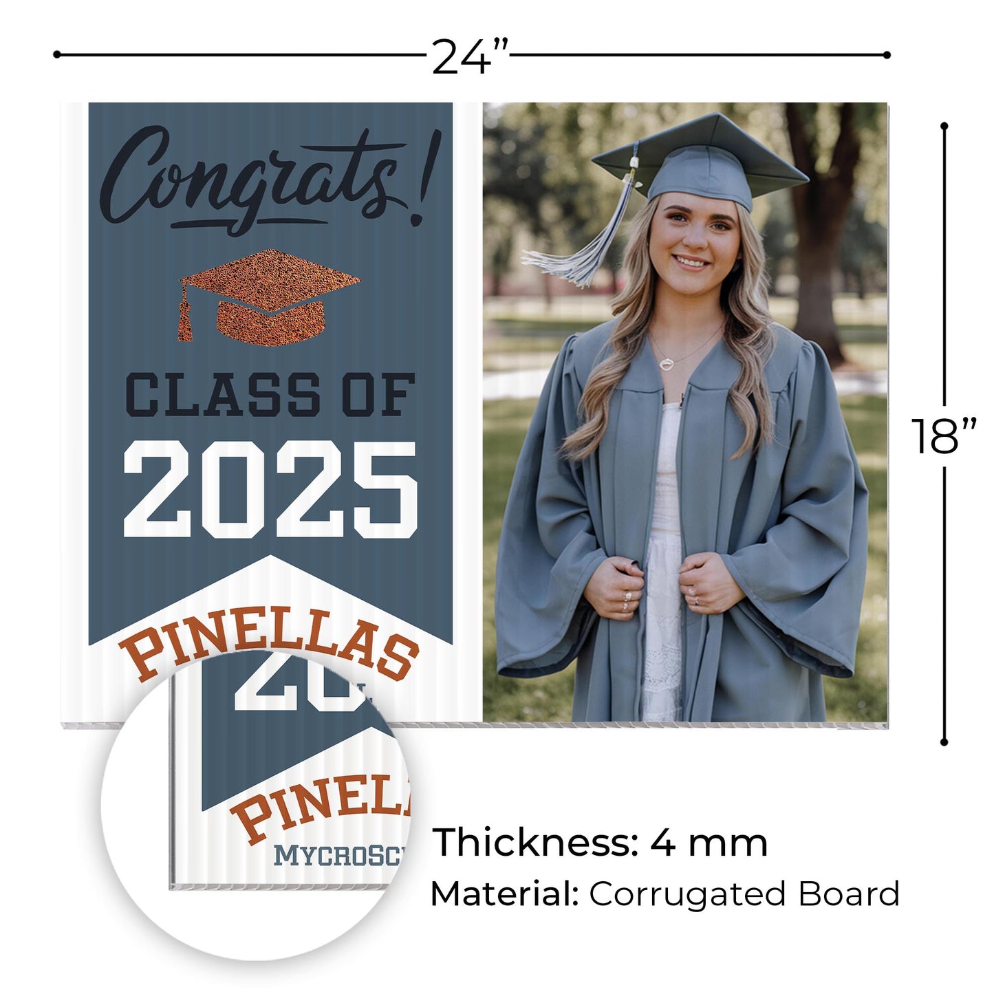 Pinellas MYcroSchool Design 2 -  YSW-PMS-DS-D2-YWS-PMS-OS-D2