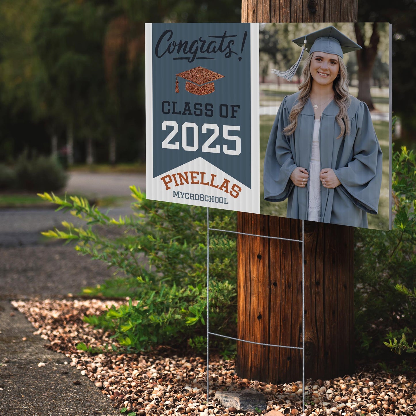 Pinellas MYcroSchool Design 2 -  YSW-PMS-DS-D2-YWS-PMS-OS-D2