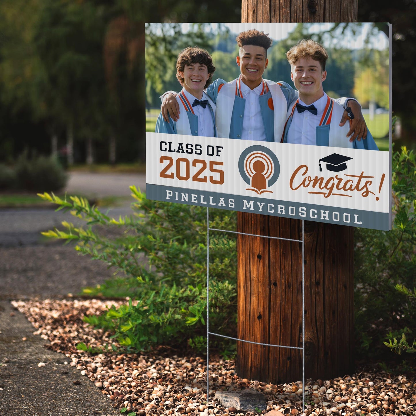 Pinellas MYcroSchool Design 3 -  YSW-PMS-DS-D3-YWS-PMS-OS-D3