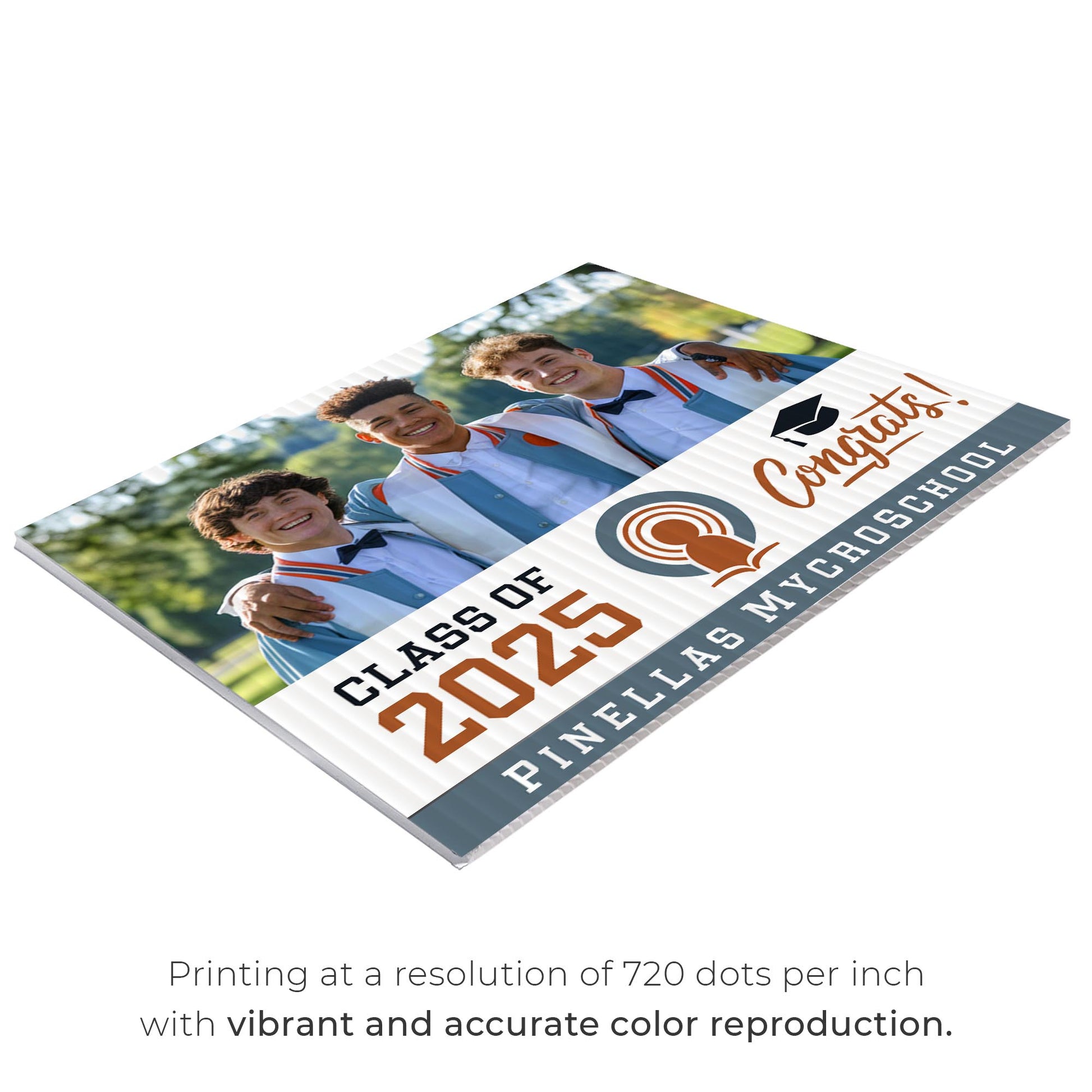 Pinellas MYcroSchool Design 3 -  YSW-PMS-DS-D3-YWS-PMS-OS-D3