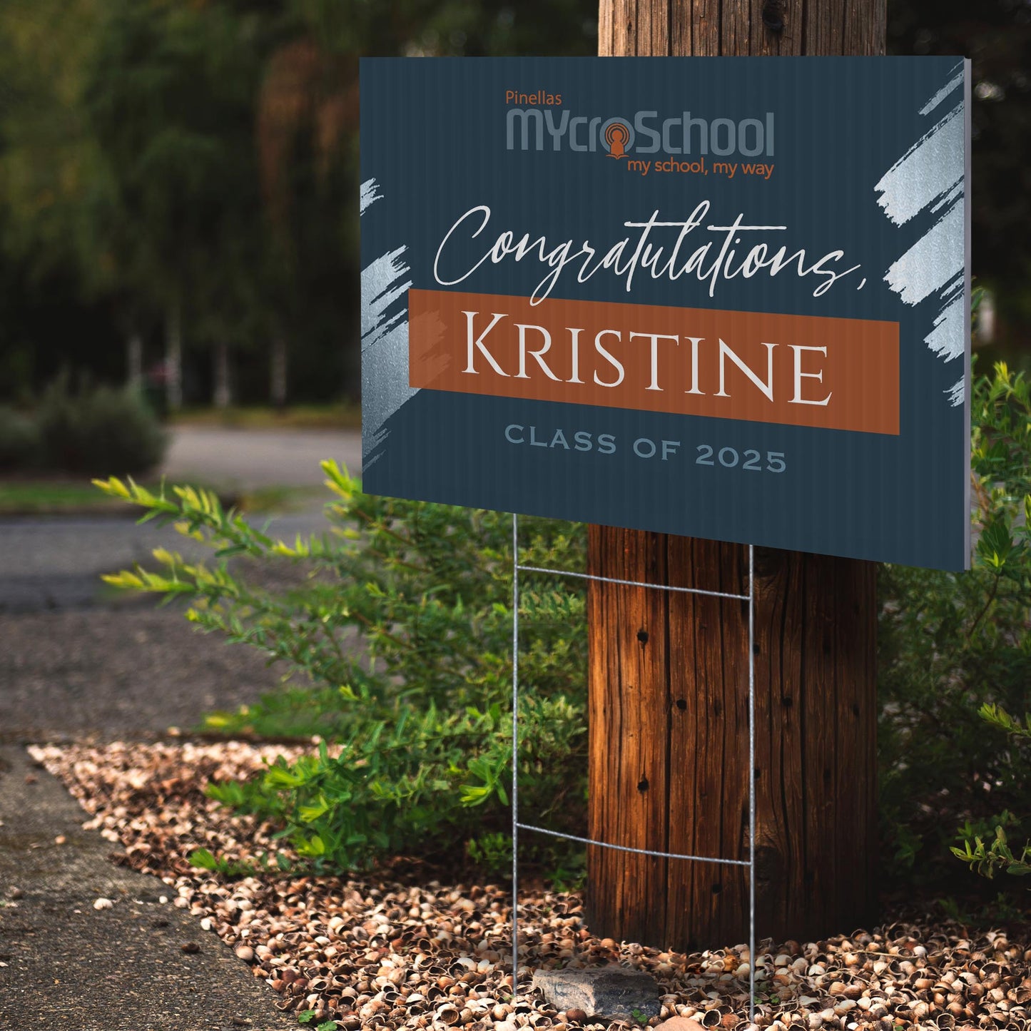 Pinellas MYcroSchool Design 4 -  YSW-PMS-DS-D4-YWS-PMS-OS-D4