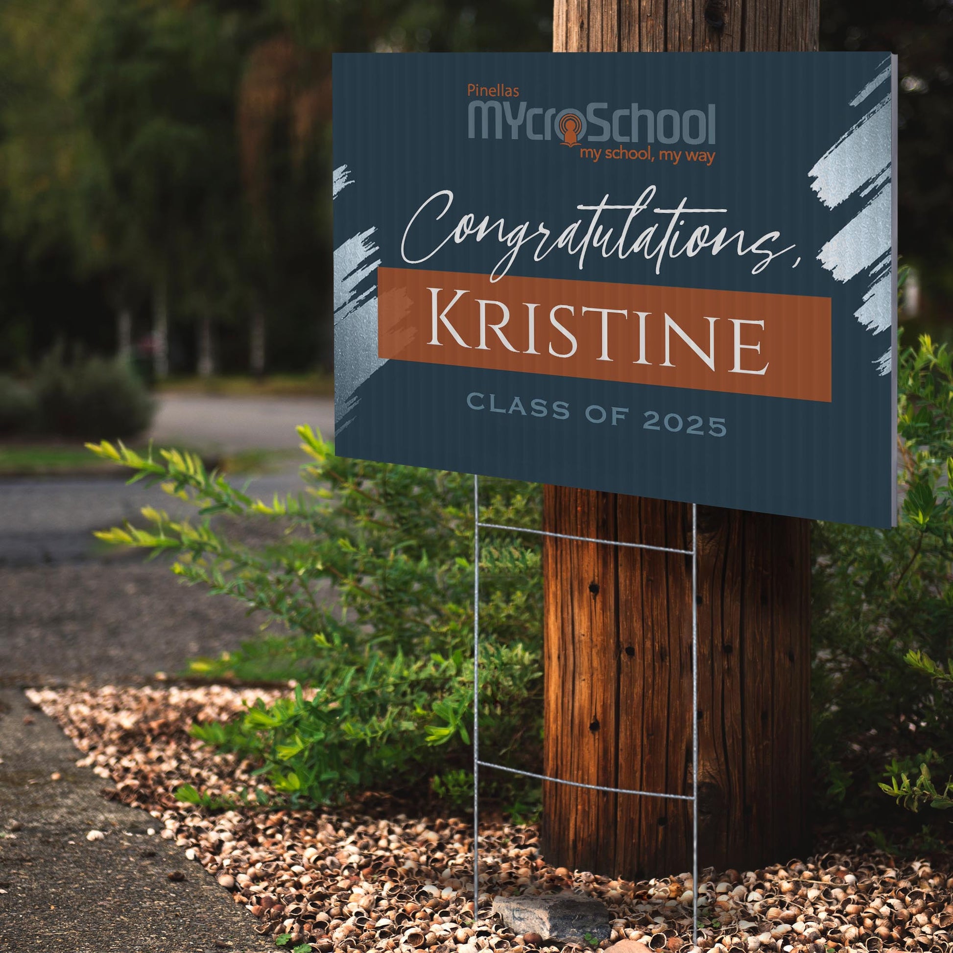 Pinellas MYcroSchool Design 4 -  YSW-PMS-DS-D4-YWS-PMS-OS-D4