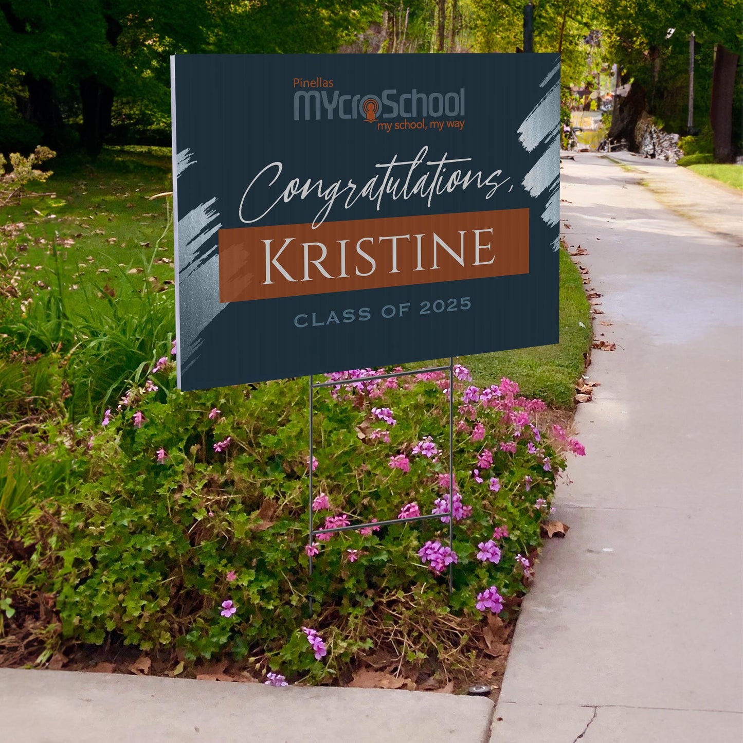 Pinellas MYcroSchool Design 4 -  YSW-PMS-DS-D4-YWS-PMS-OS-D4