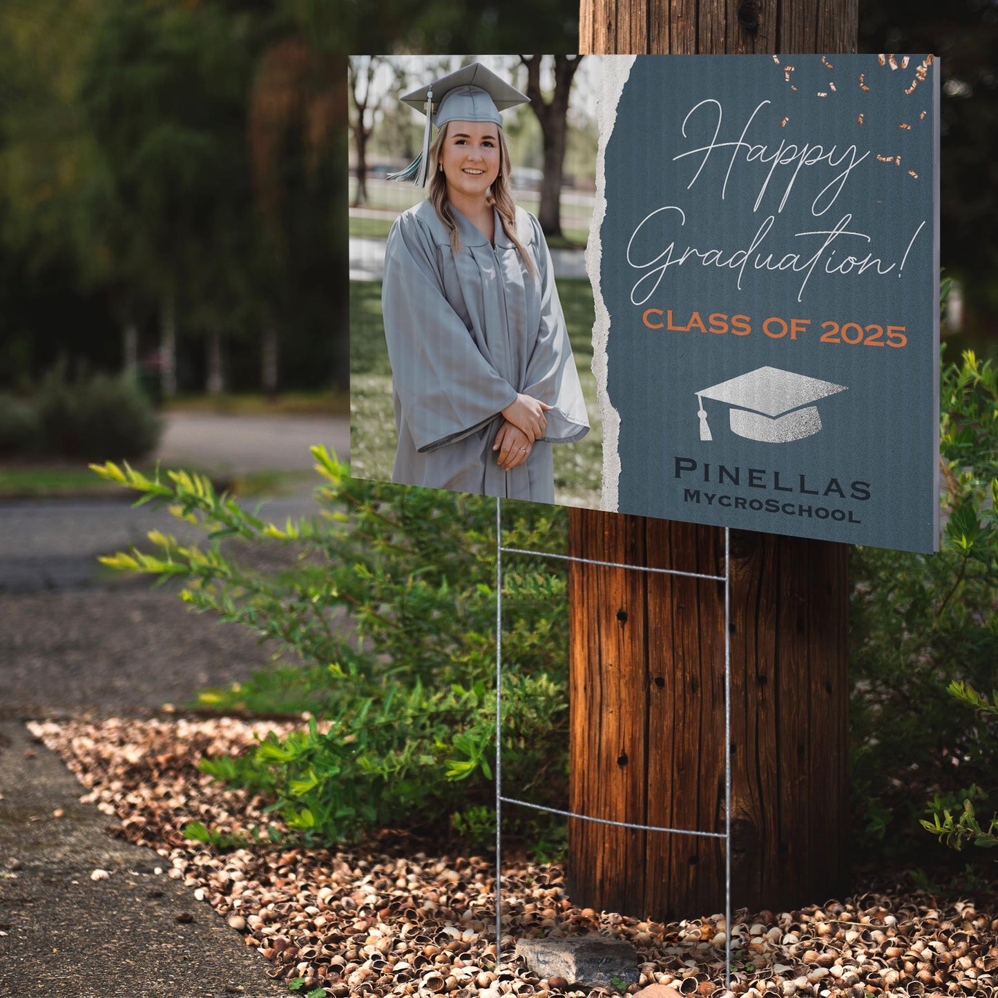 Pinellas MYcroSchool Design 6 -  YSW-PMS-DS-D6-YWS-PMS-OS-D6