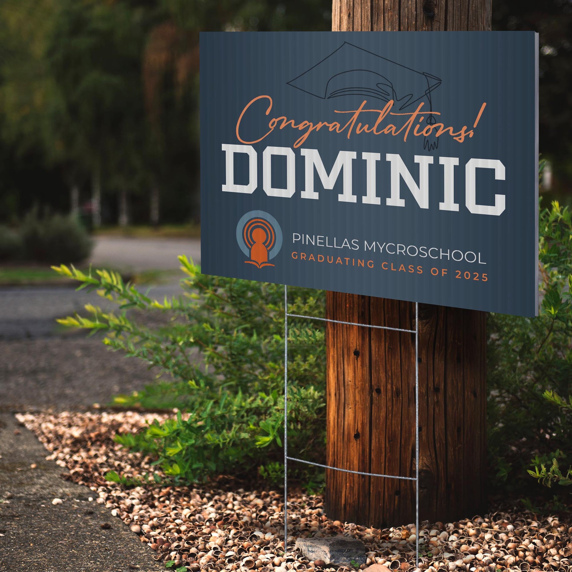 Pinellas MYcroSchool Design 7 -  YSW-PMS-DS-D7-YWS-PMS-OS-D7