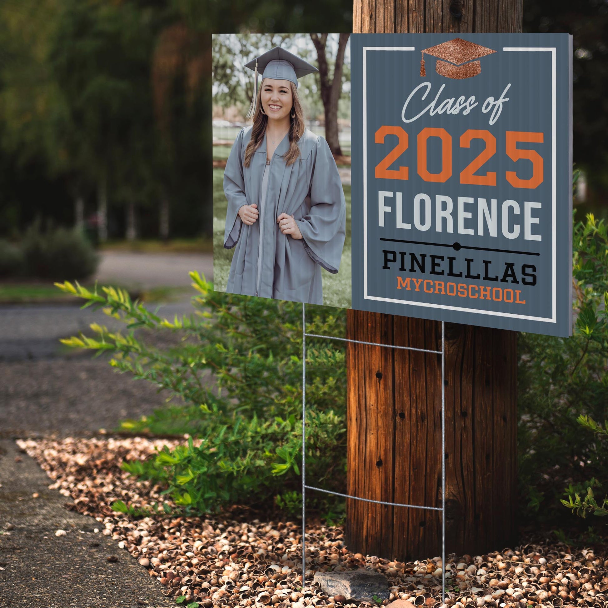 Pinellas MYcroSchool Design 8 -  YSW-PMS-DS-D8-YWS-PMS-OS-D8