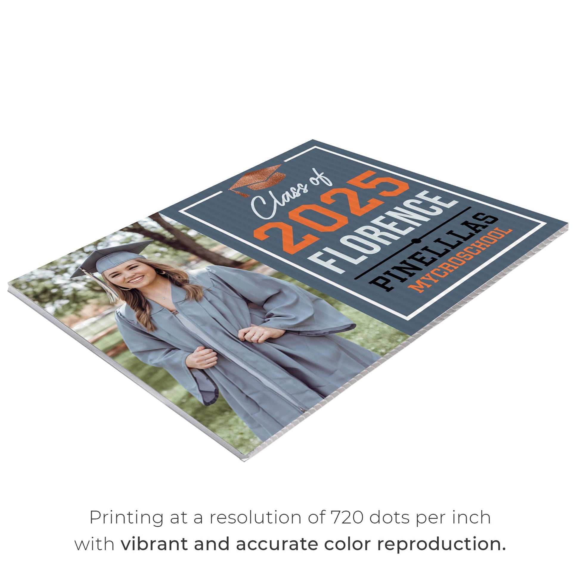 Pinellas MYcroSchool Design 8 -  YSW-PMS-DS-D8-YWS-PMS-OS-D8