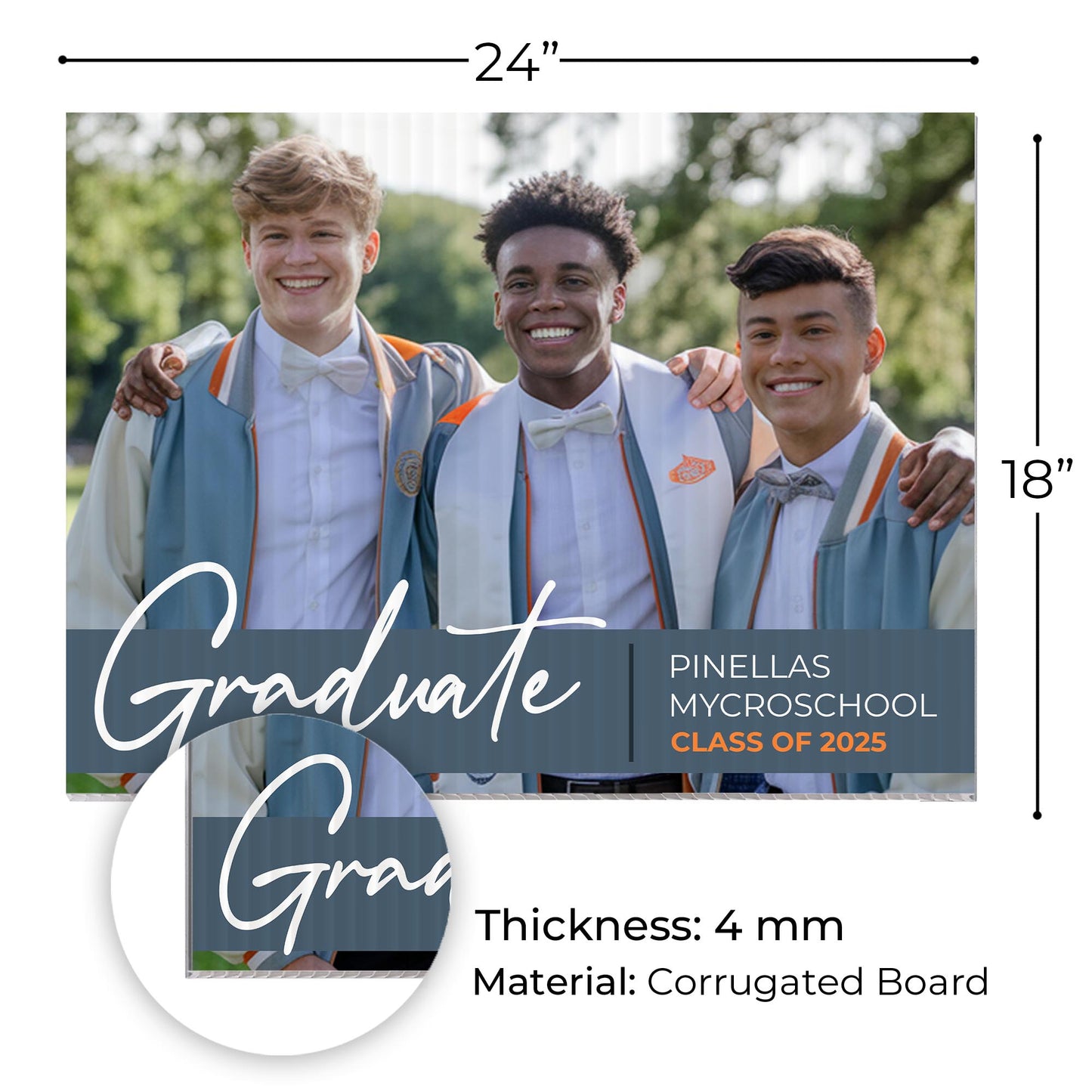 Pinellas MYcroSchool Design 9 -  YSW-PMS-DS-D9-YWS-PMS-OS-D9