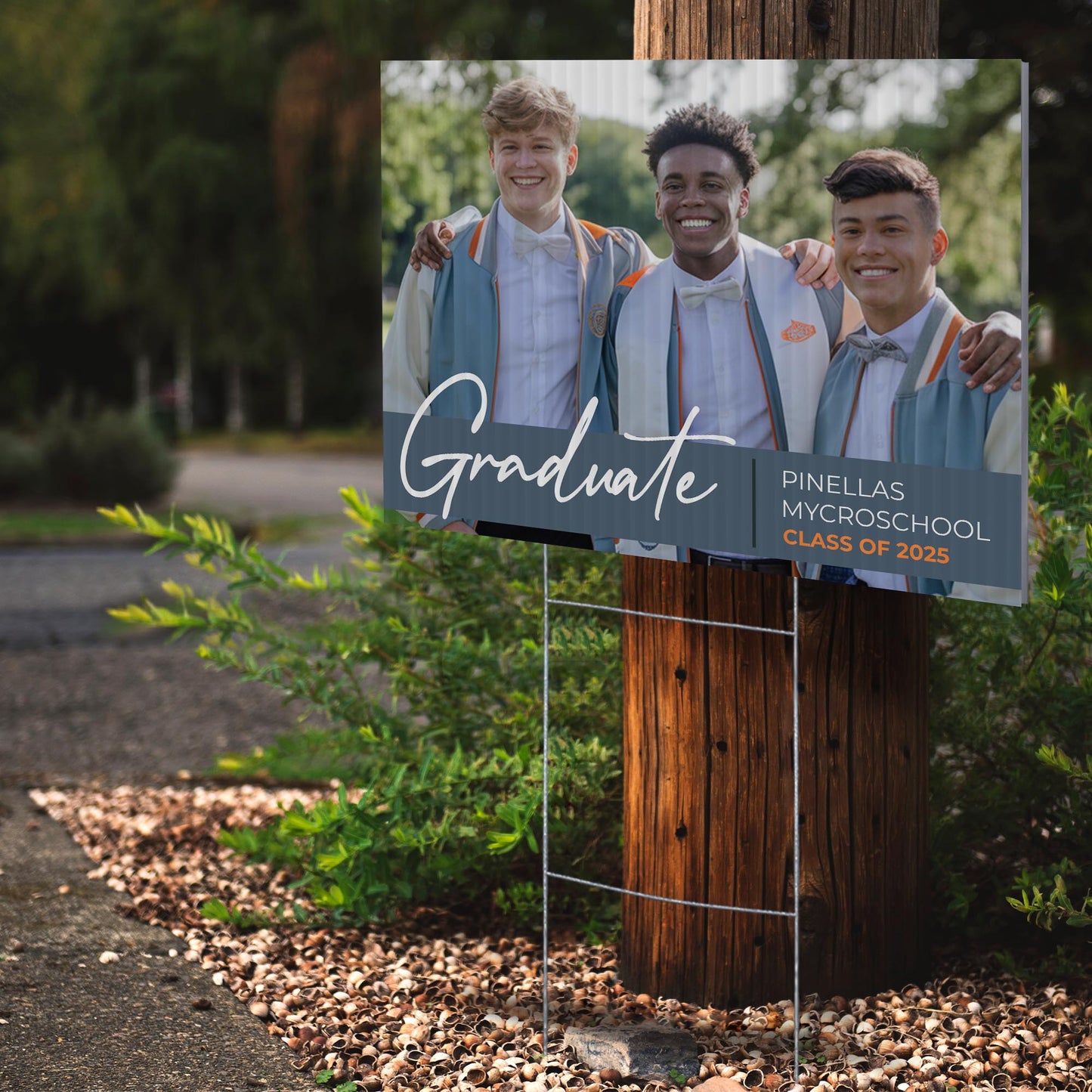 Pinellas MYcroSchool Design 9 -  YSW-PMS-DS-D9-YWS-PMS-OS-D9