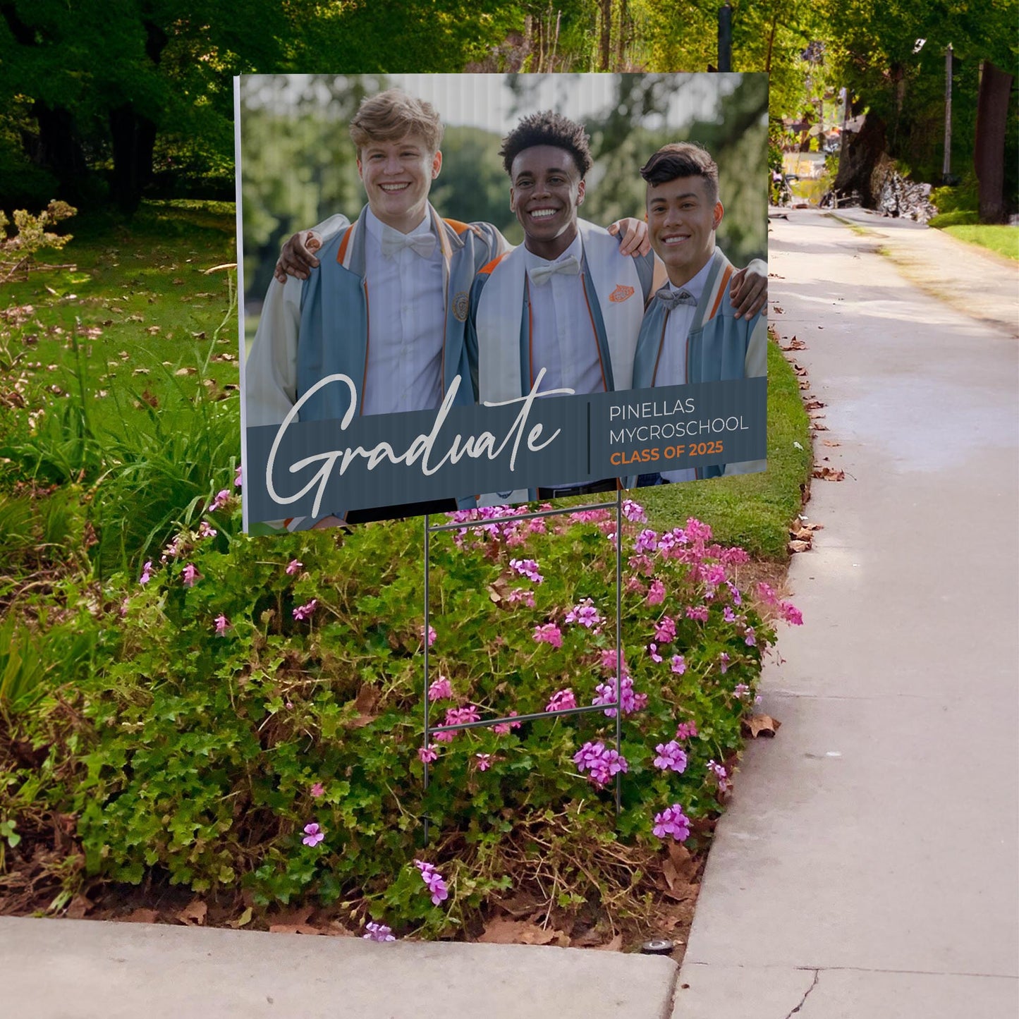 Pinellas MYcroSchool Design 9 -  YSW-PMS-DS-D9-YWS-PMS-OS-D9