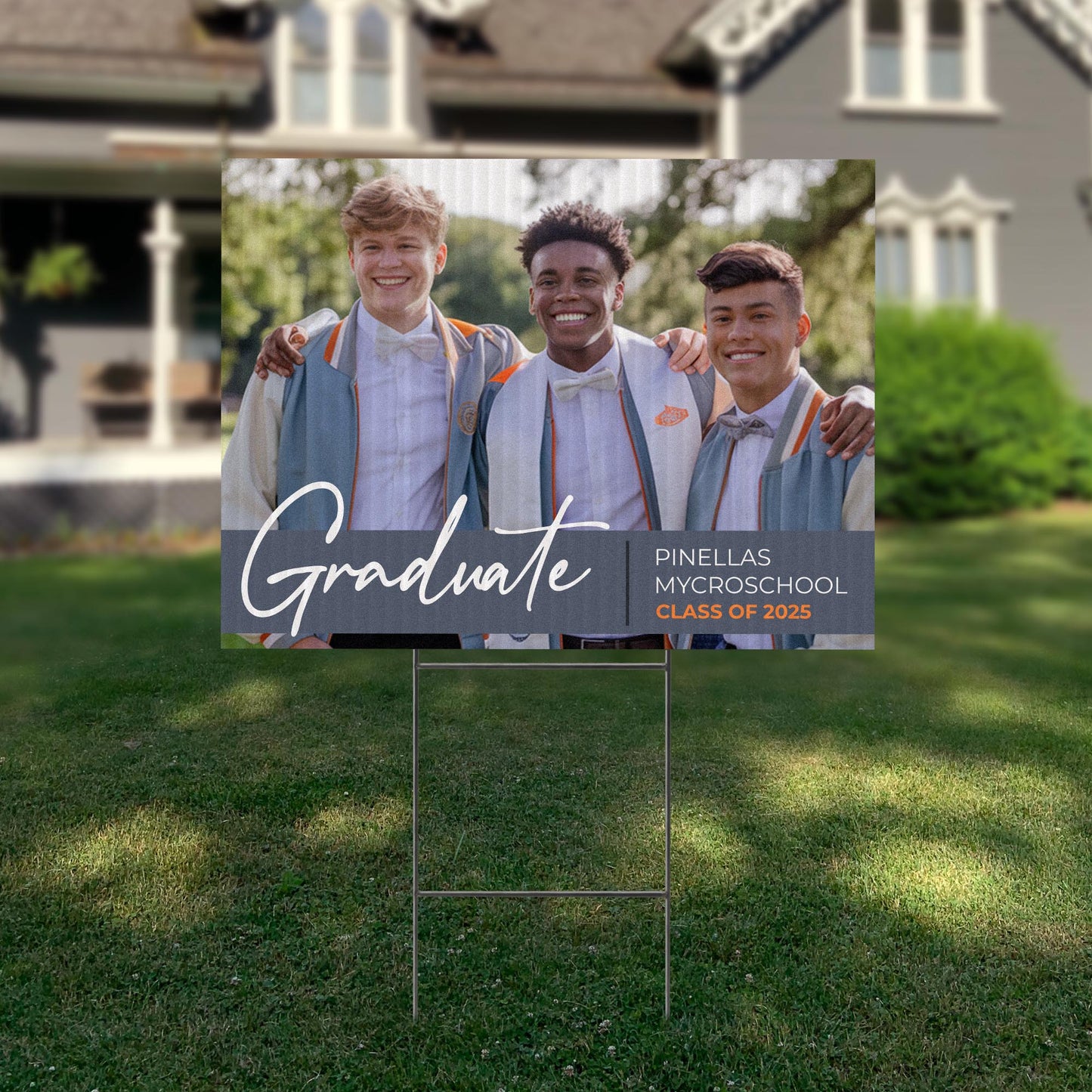 Pinellas MYcroSchool Design 9 -  YSW-PMS-DS-D9-YWS-PMS-OS-D9