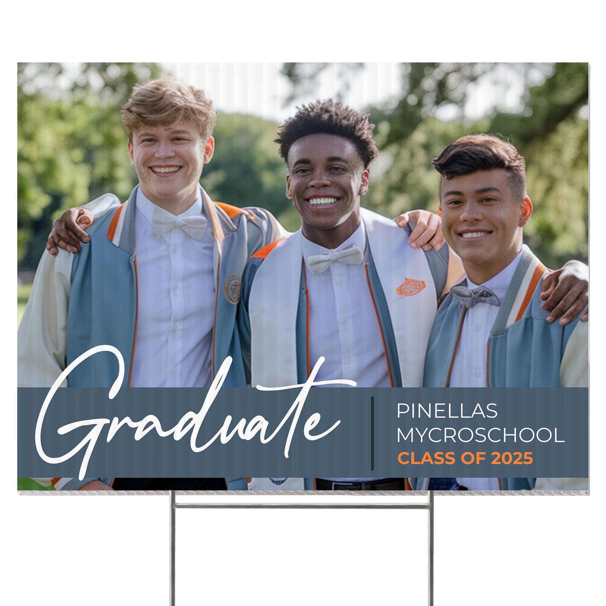 Pinellas MYcroSchool Design 9 -  YSW-PMS-DS-D9-YWS-PMS-OS-D9